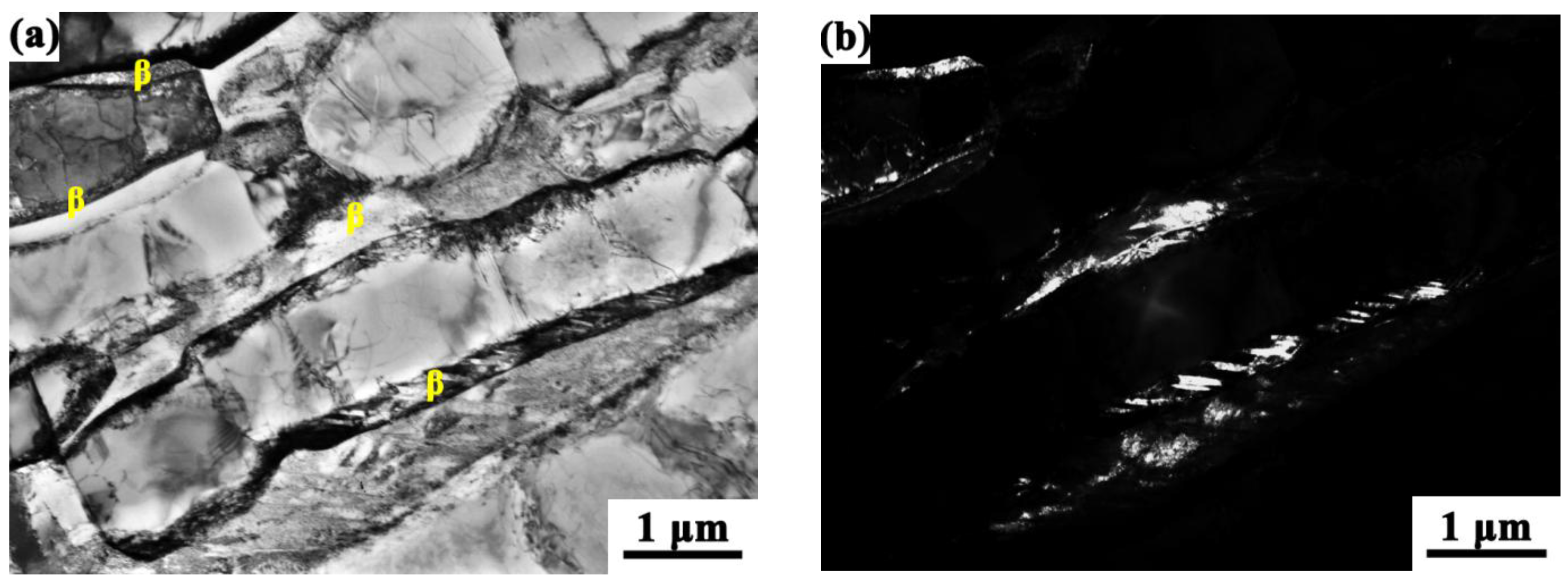 Metals 08 00270 g011a