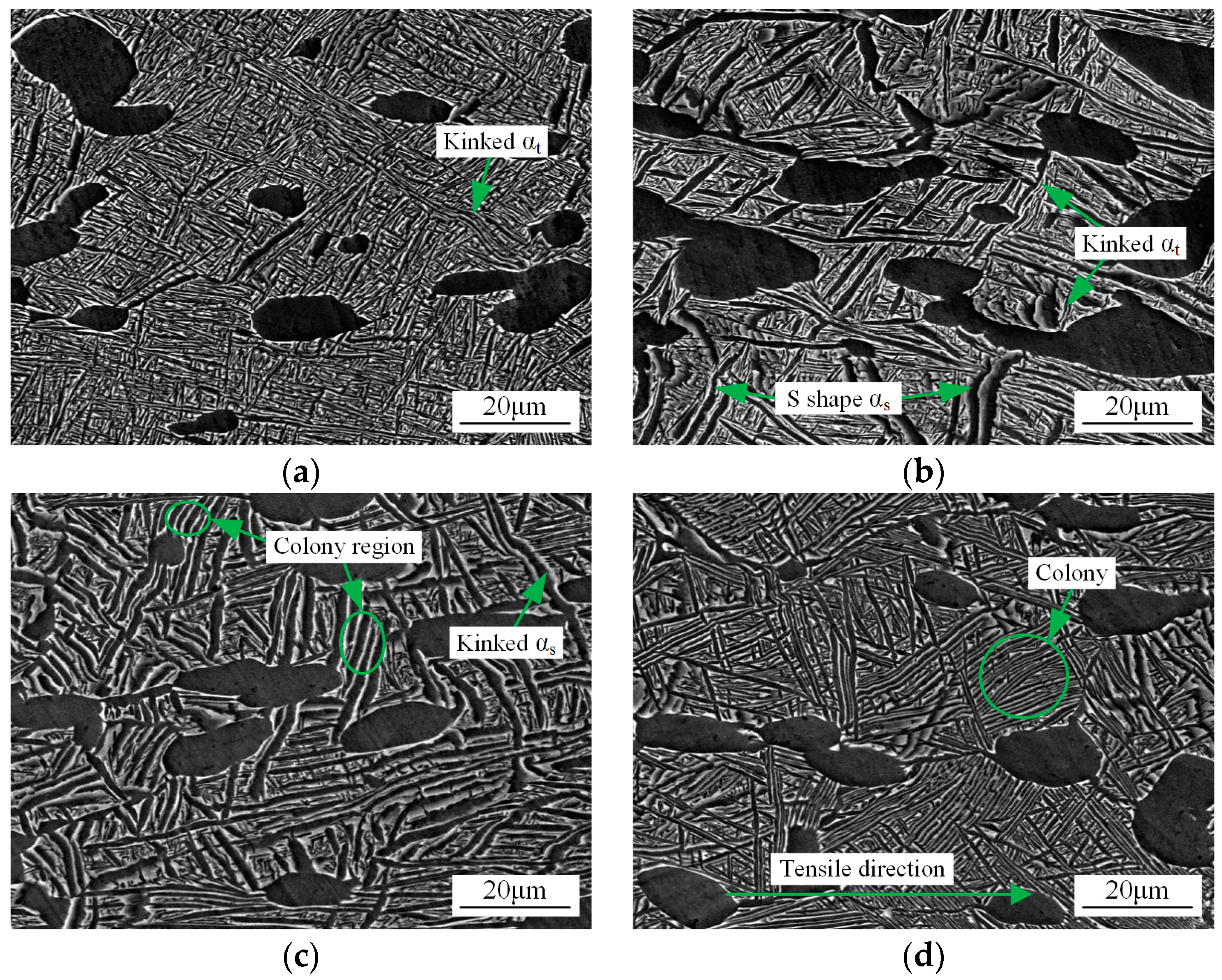 Metals 08 00299 g006