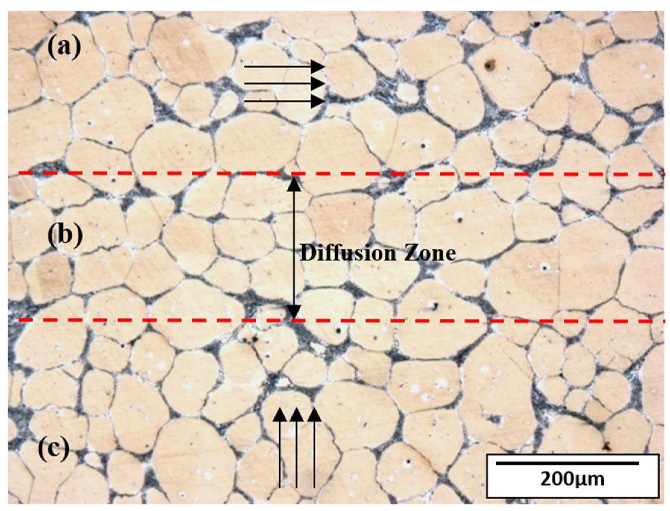 Metals 08 00316 g007