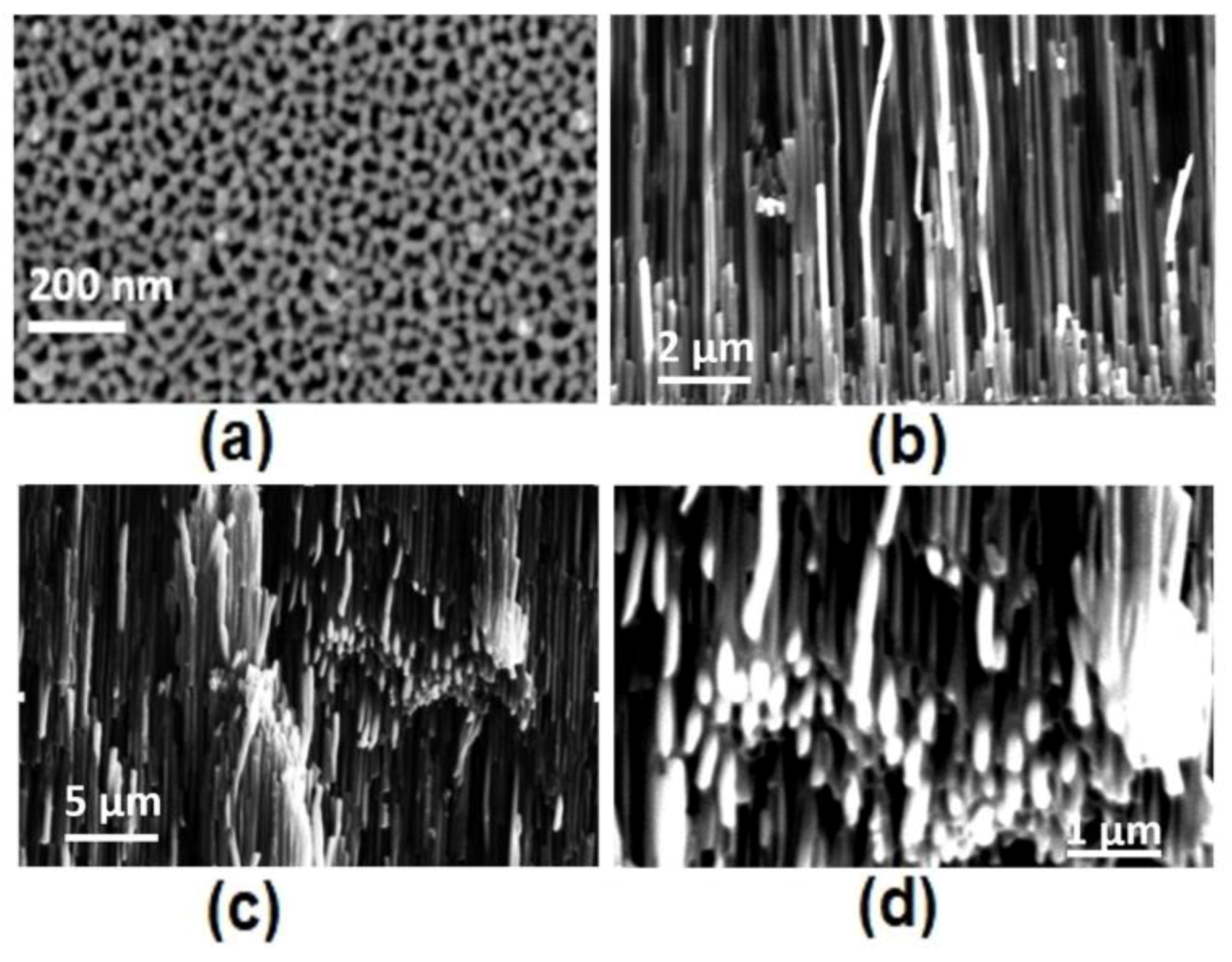 Metals 08 00347 g005