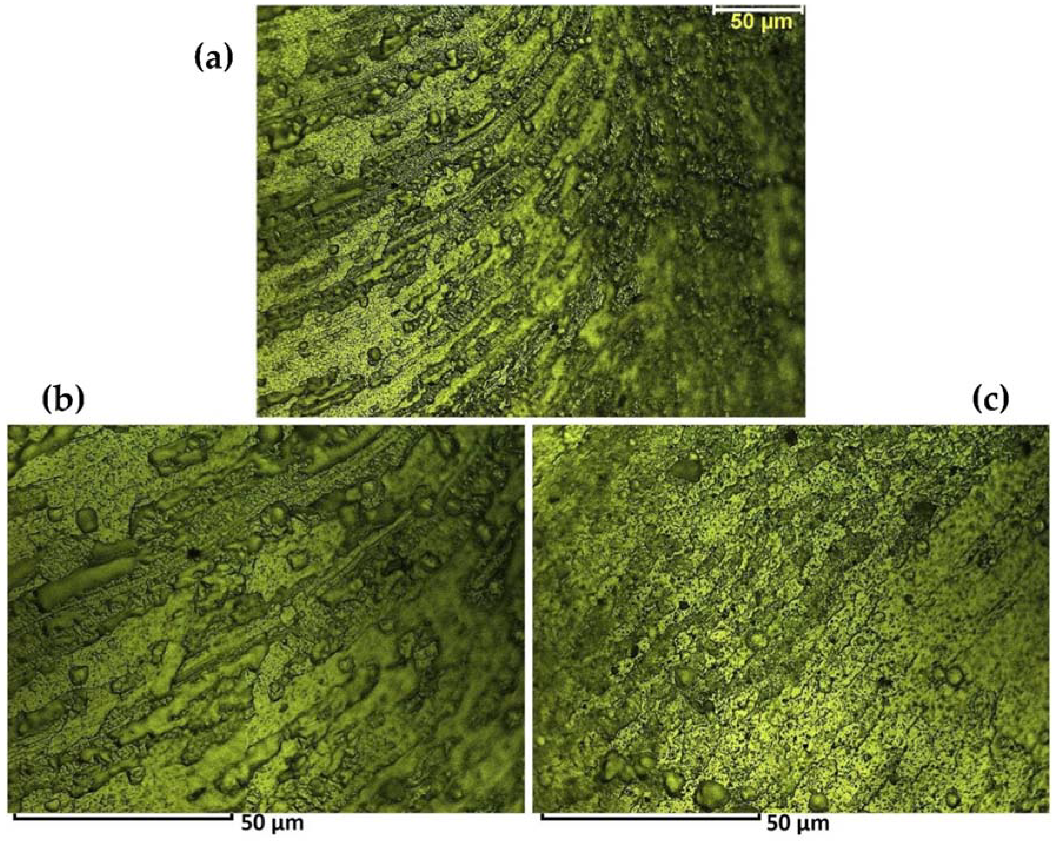 Metals 08 00375 g004