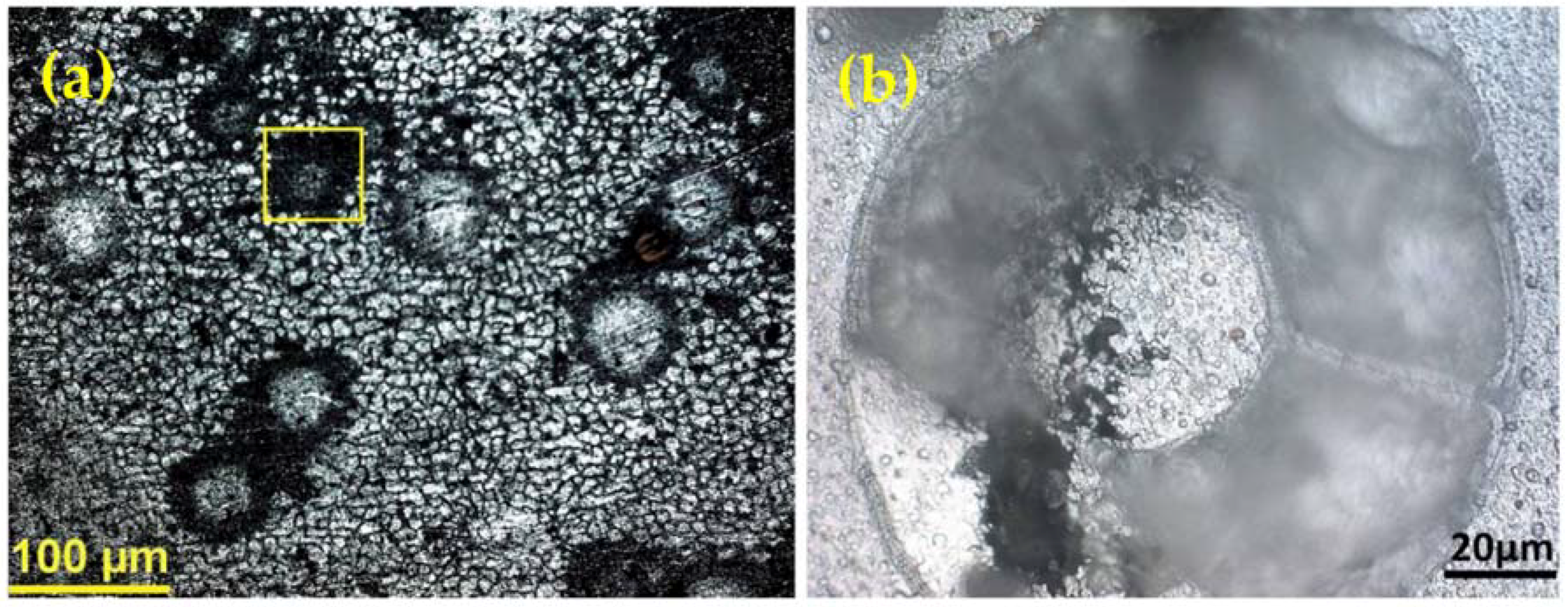 Metals 08 00375 g006