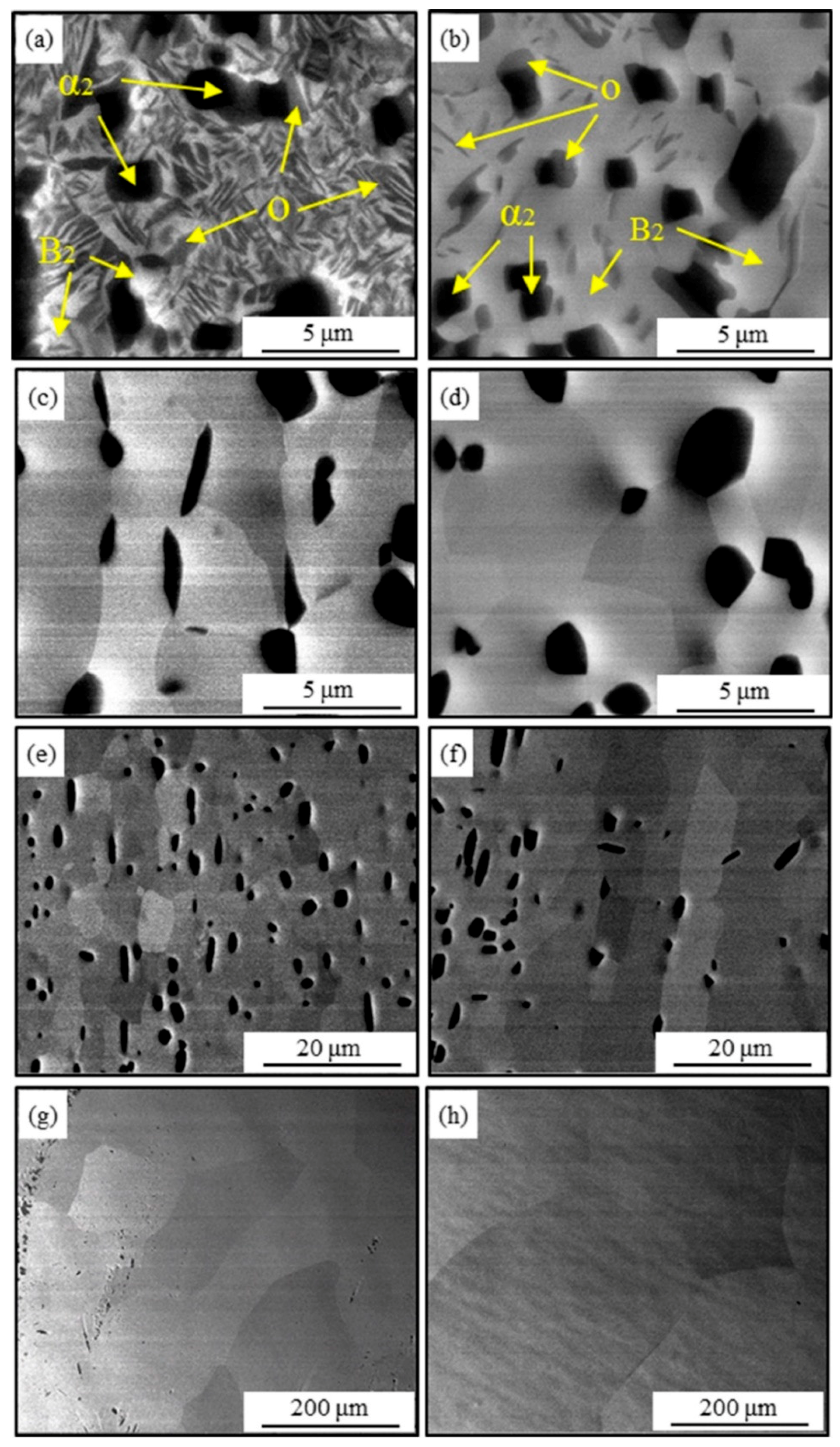 Metals 08 00382 g002