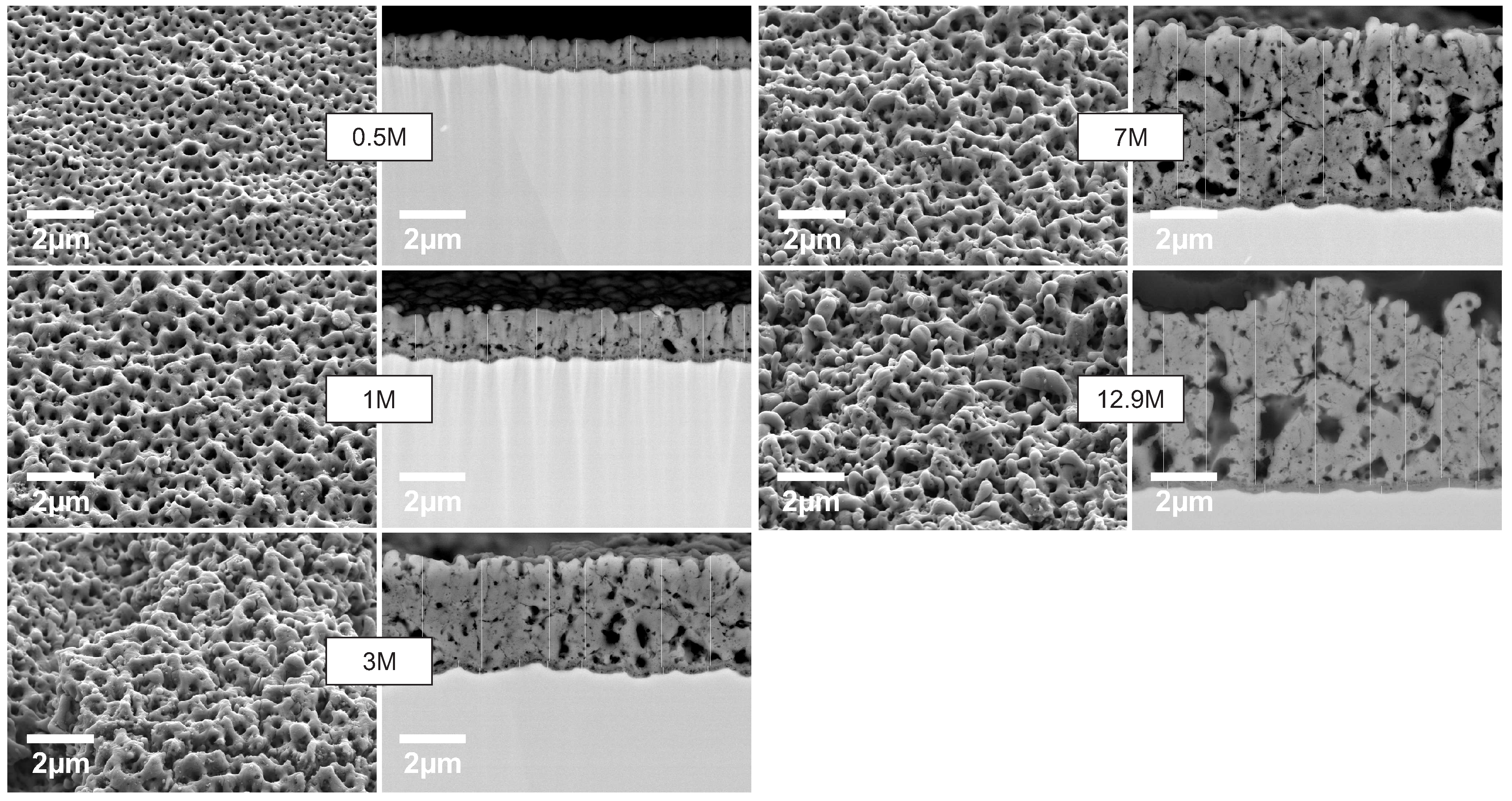 Metals 08 00386 g002