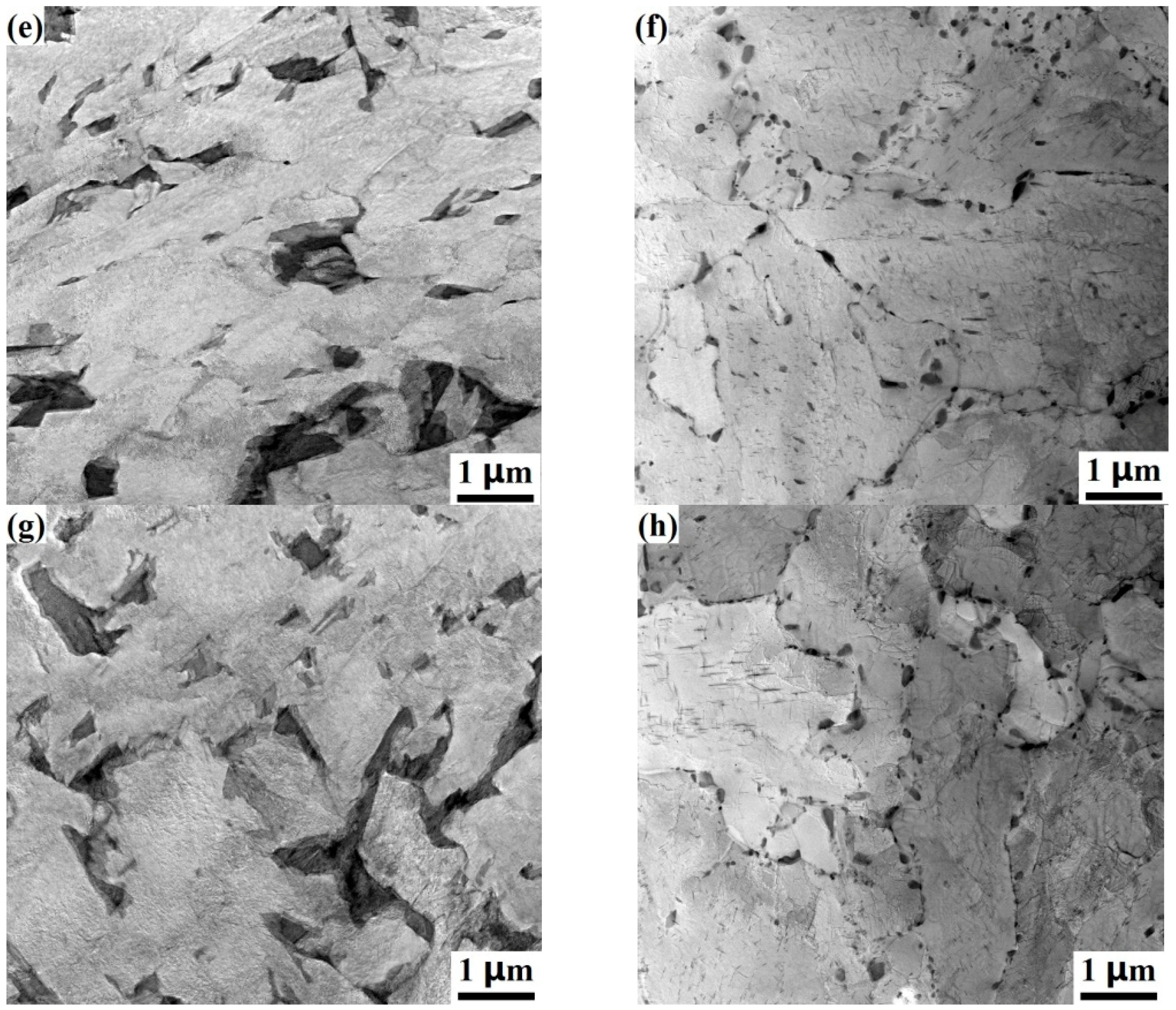 Metals 08 00405 g004b