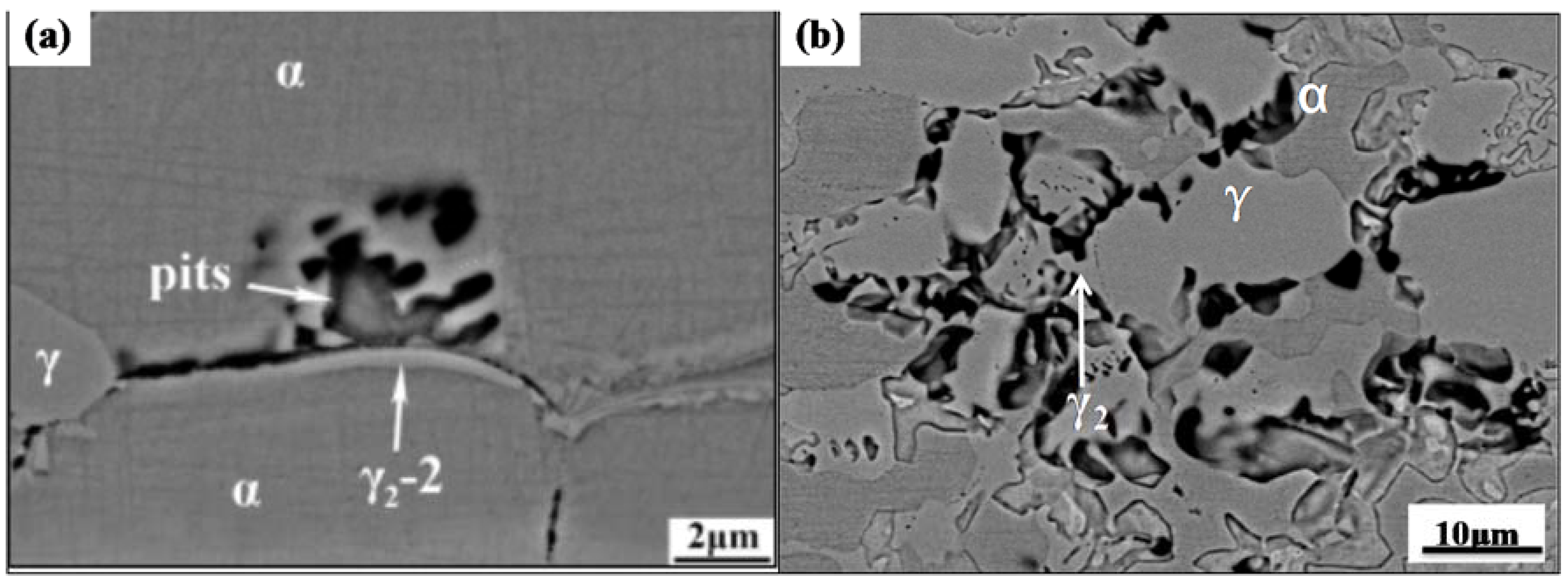 Metals 08 00407 g007