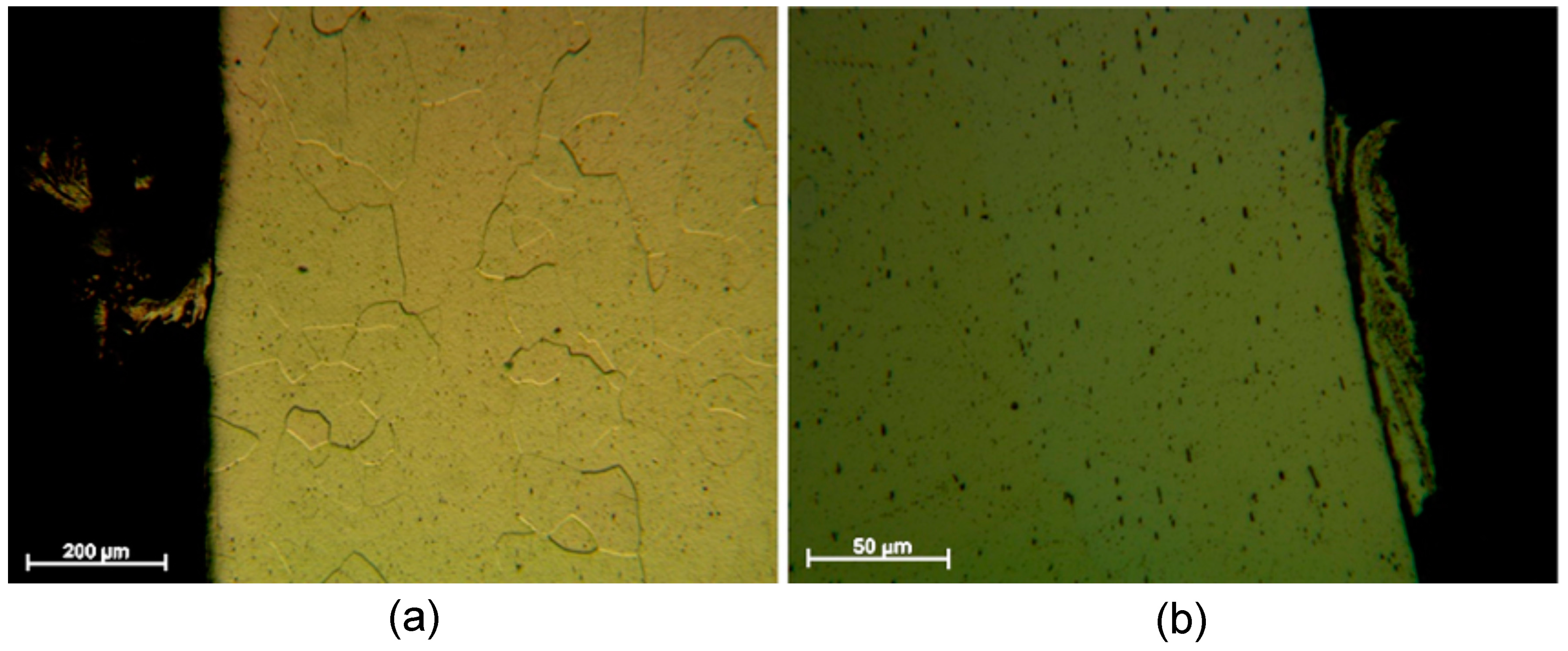 Metals 08 00409 g007