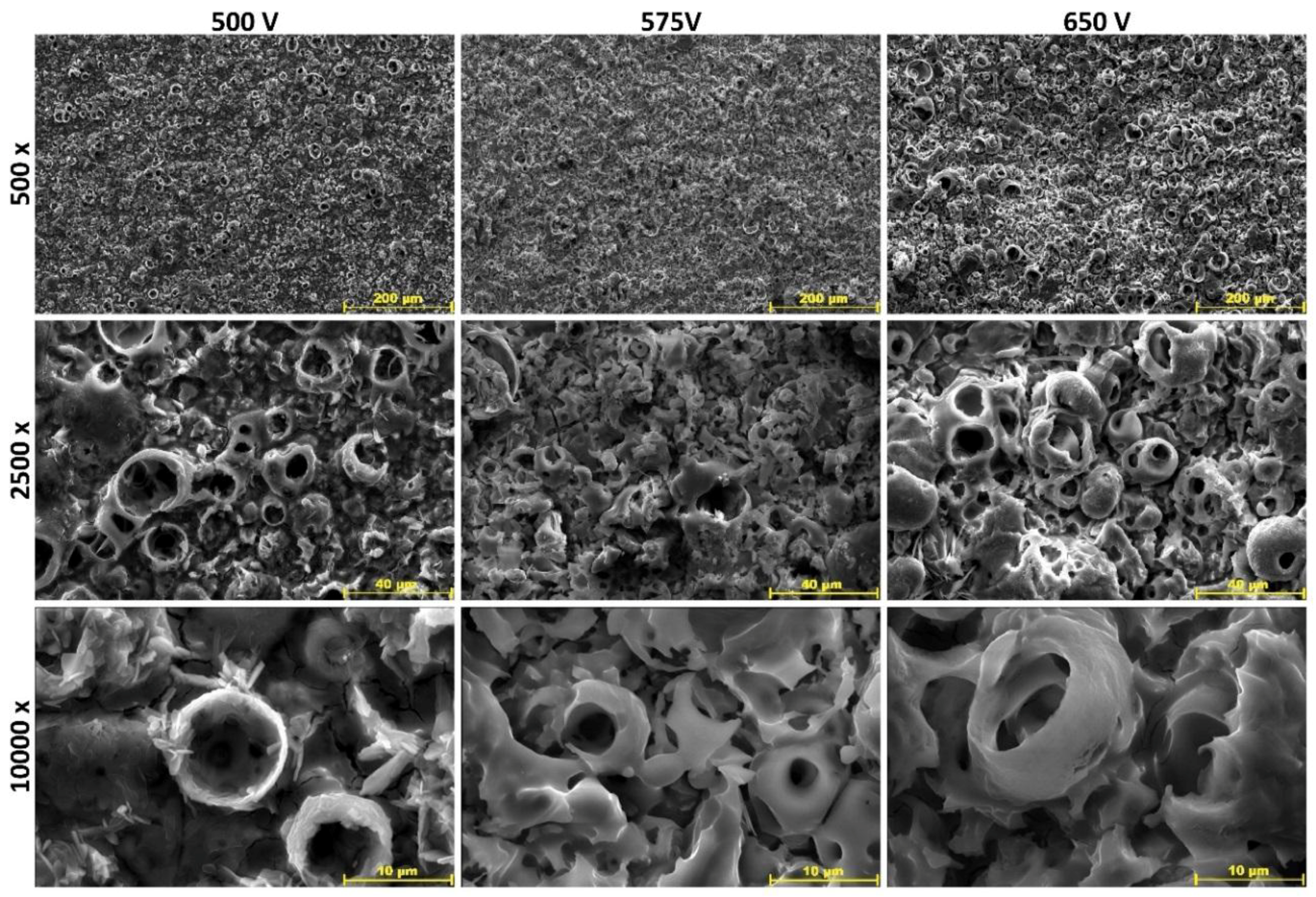 Metals 08 00411 g001