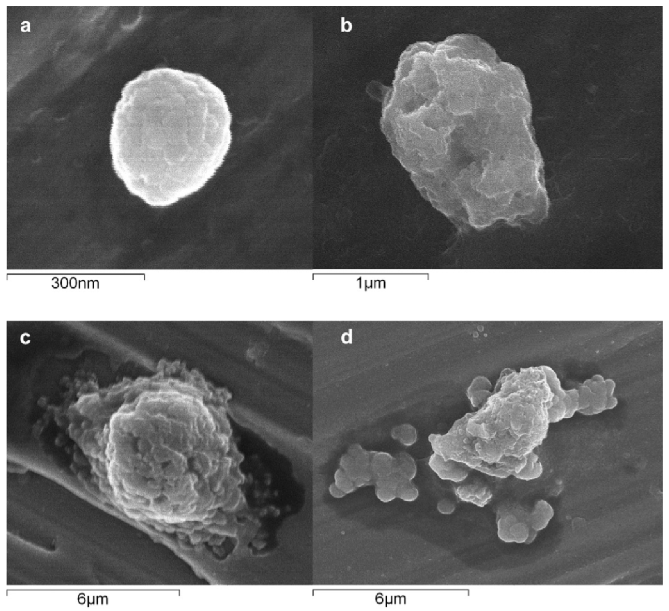 Metals 08 00420 g009a