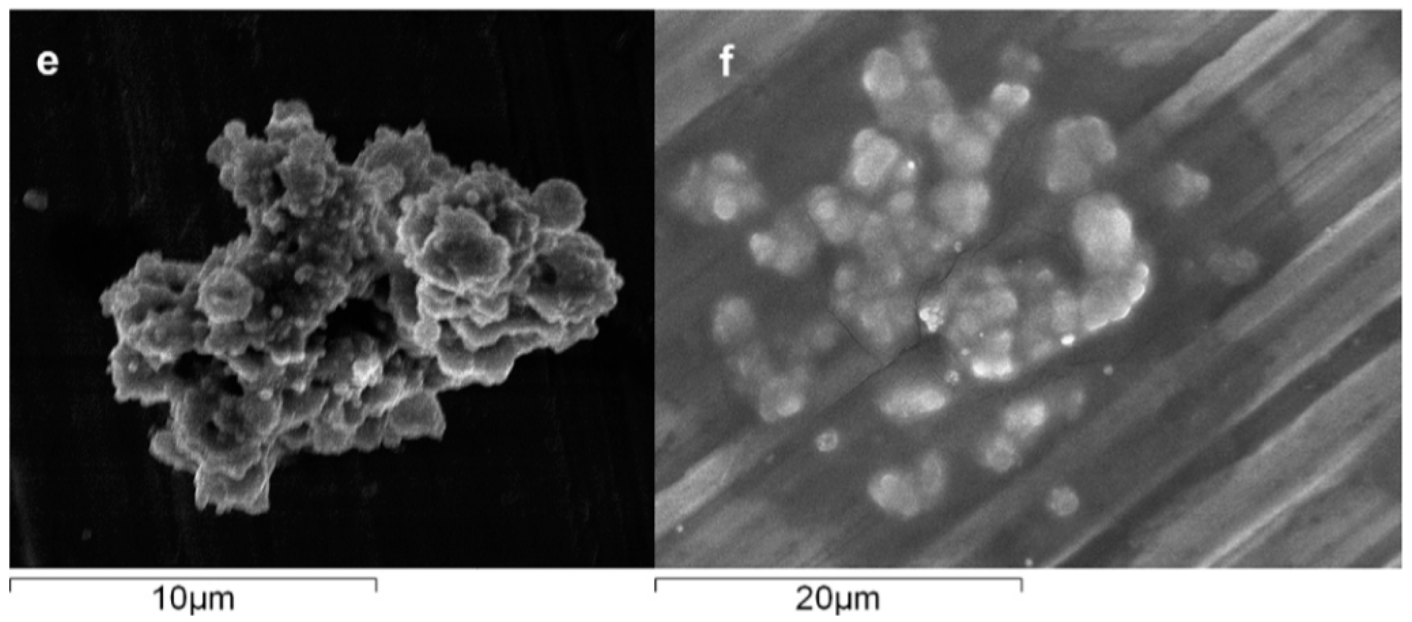 Metals 08 00420 g009b