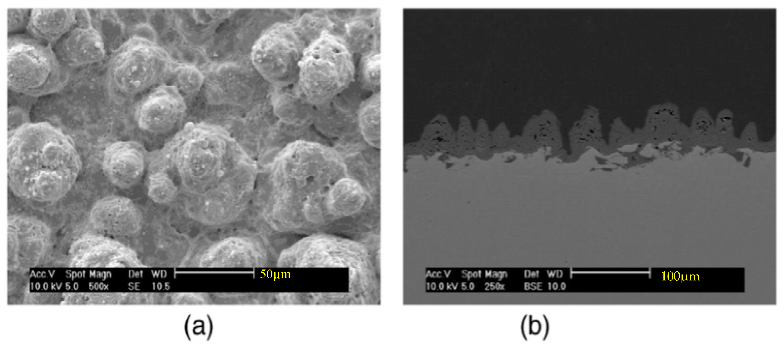 Metals 08 00420 g010