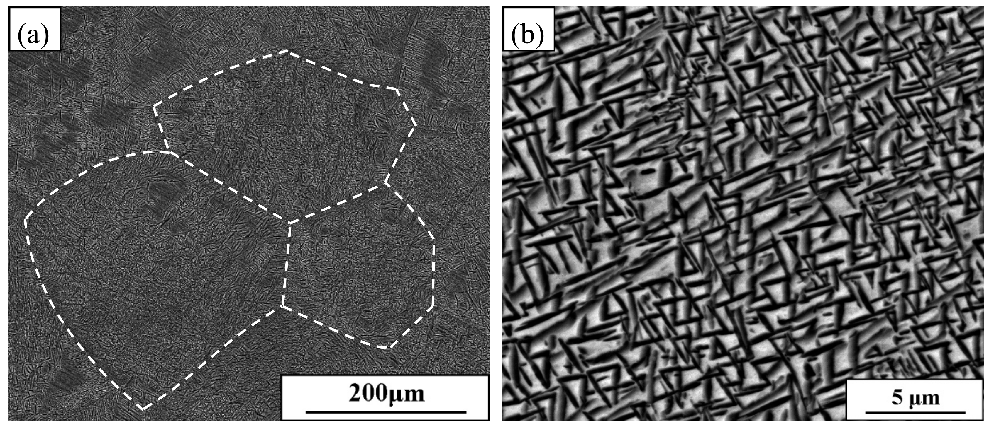 Metals 08 00467 g001