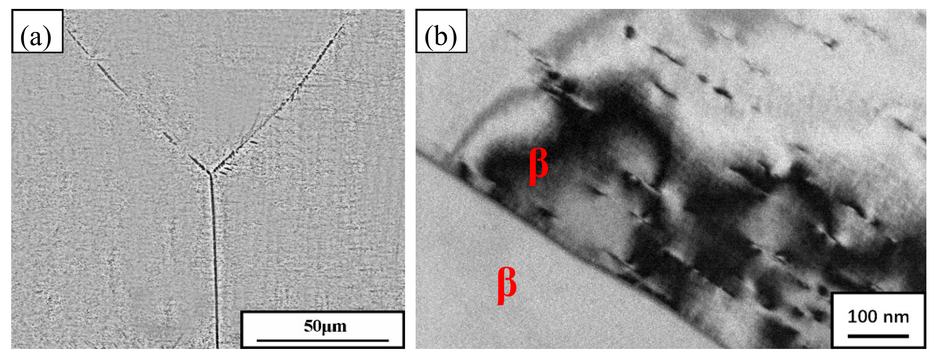 Metals 08 00467 g005