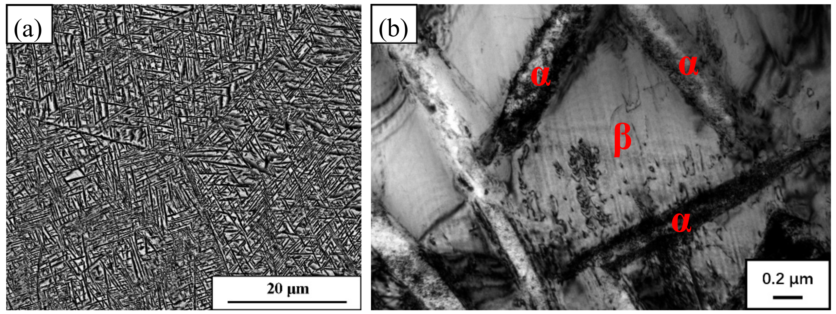Metals 08 00467 g006