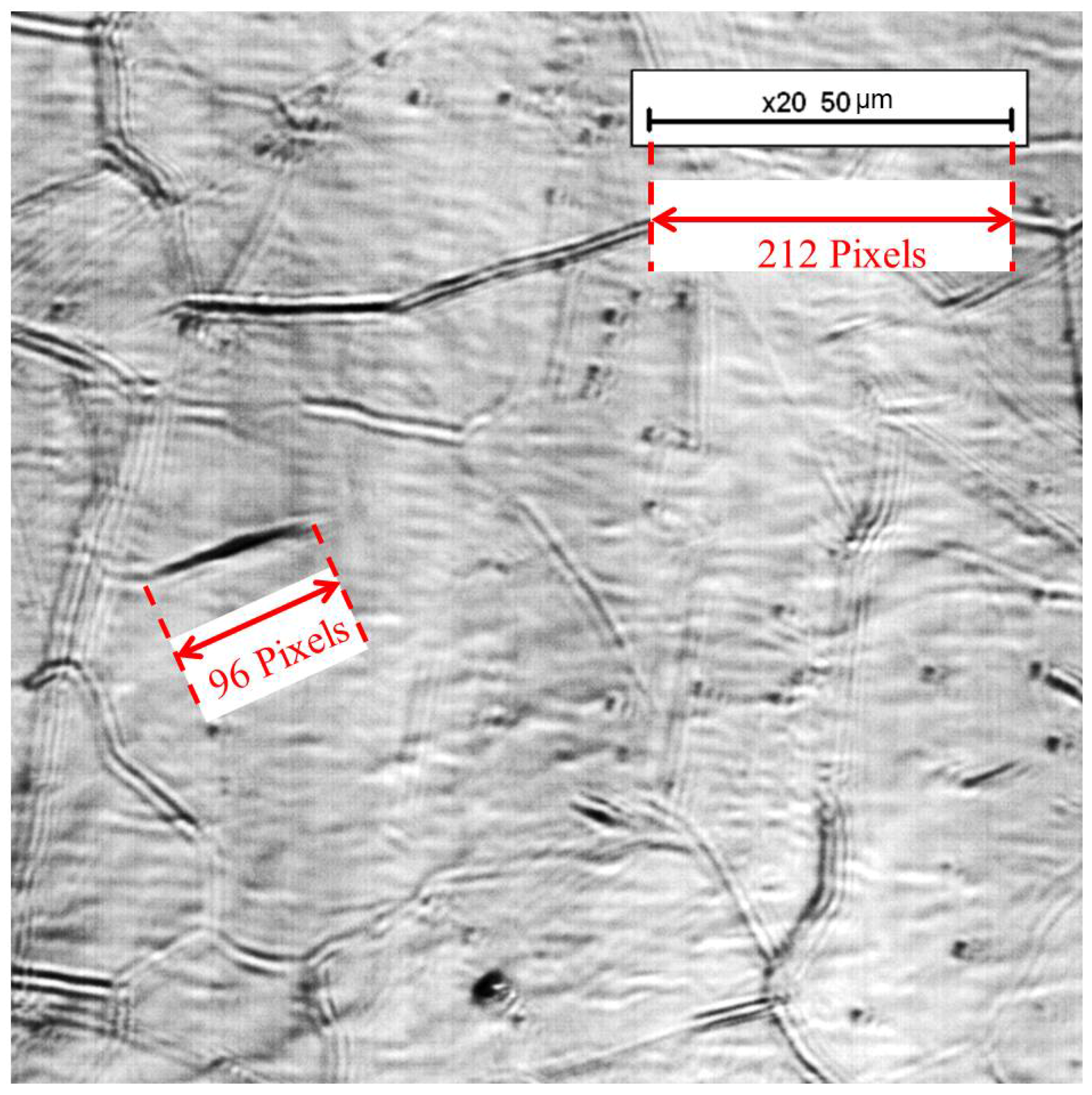 Metals 08 00498 g001