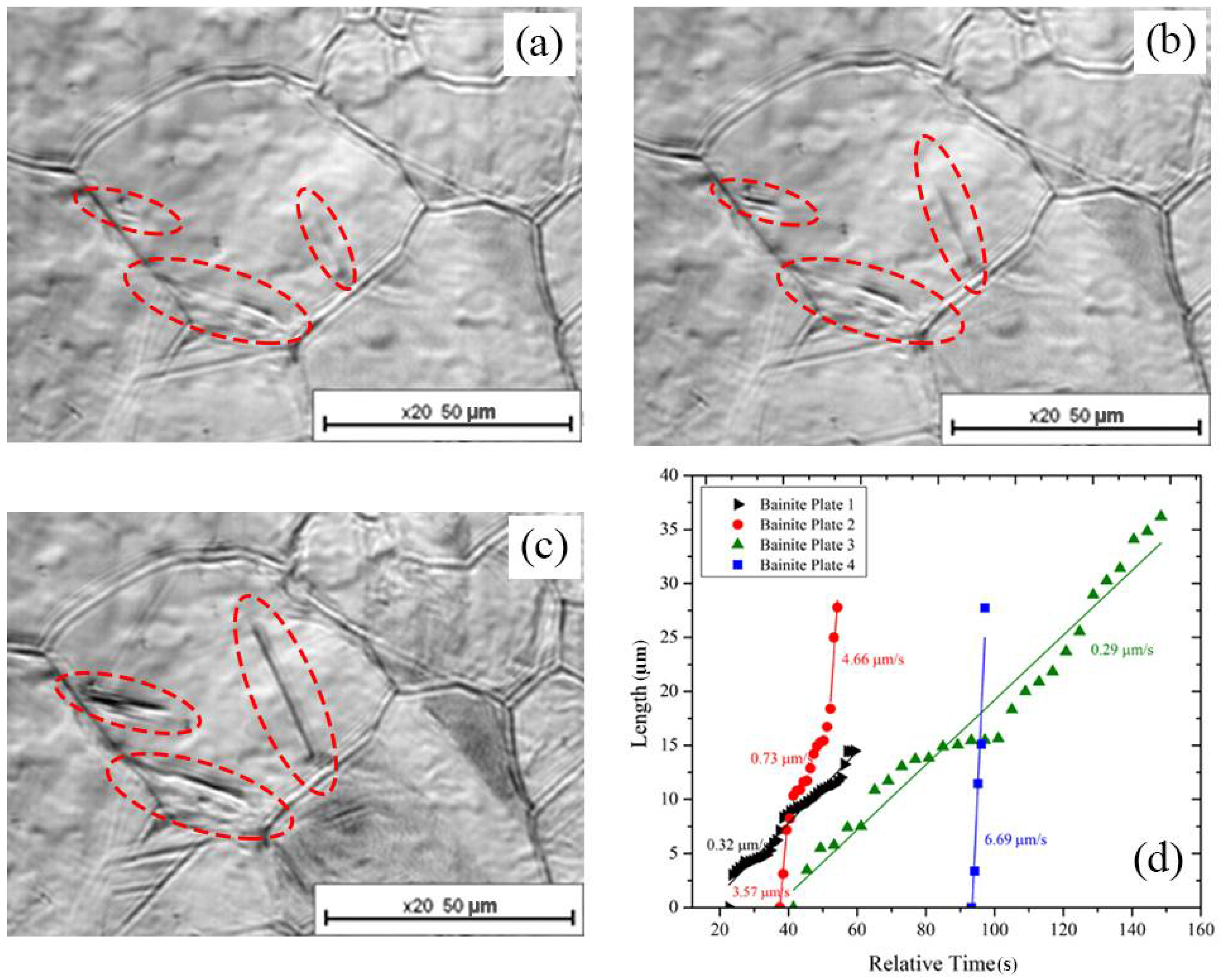 Metals 08 00498 g007