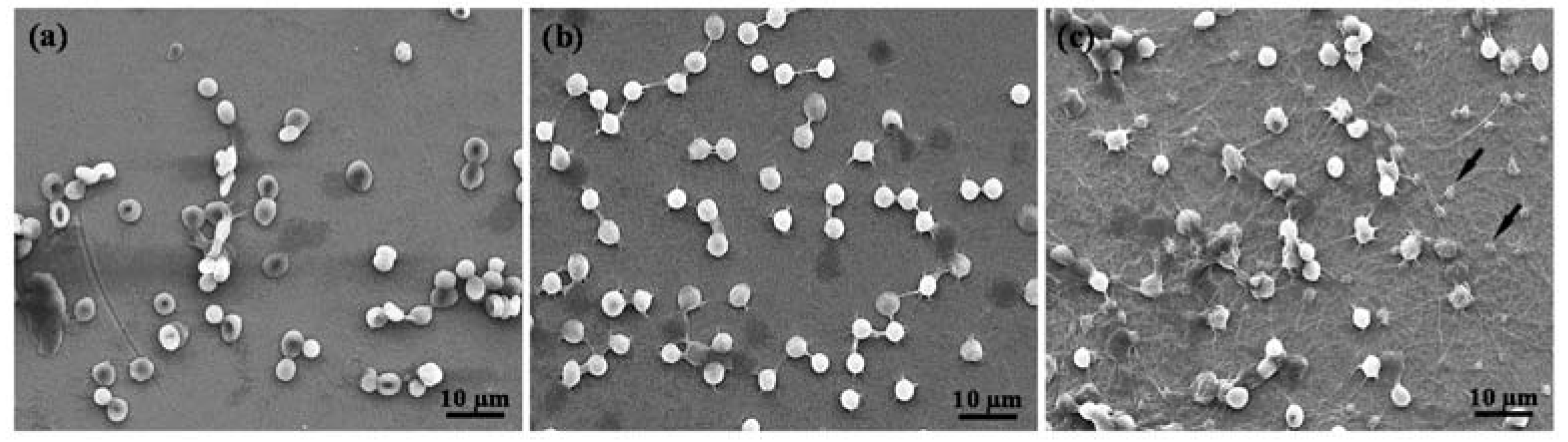 Metals 08 00513 g006
