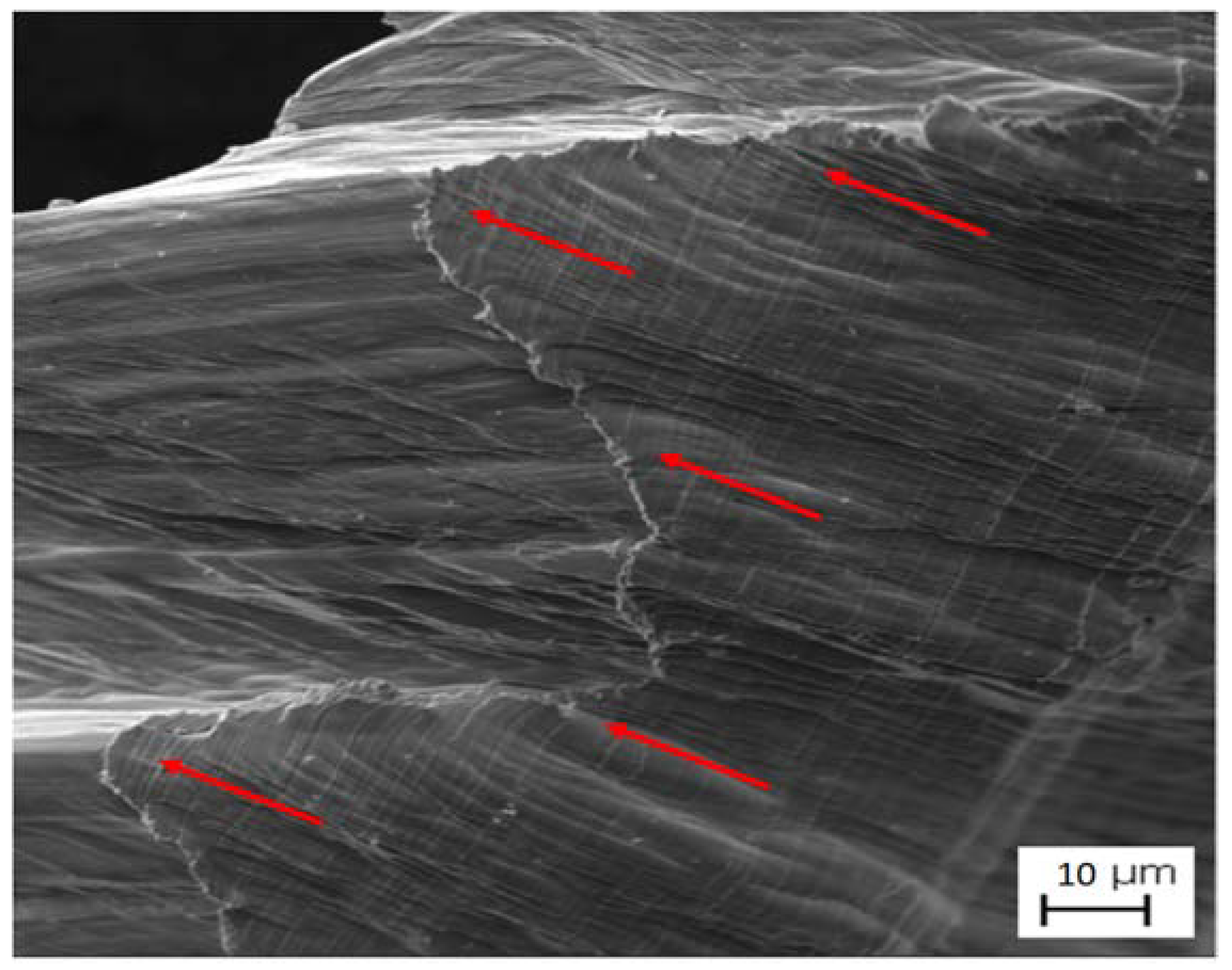 Metals 08 00546 g002