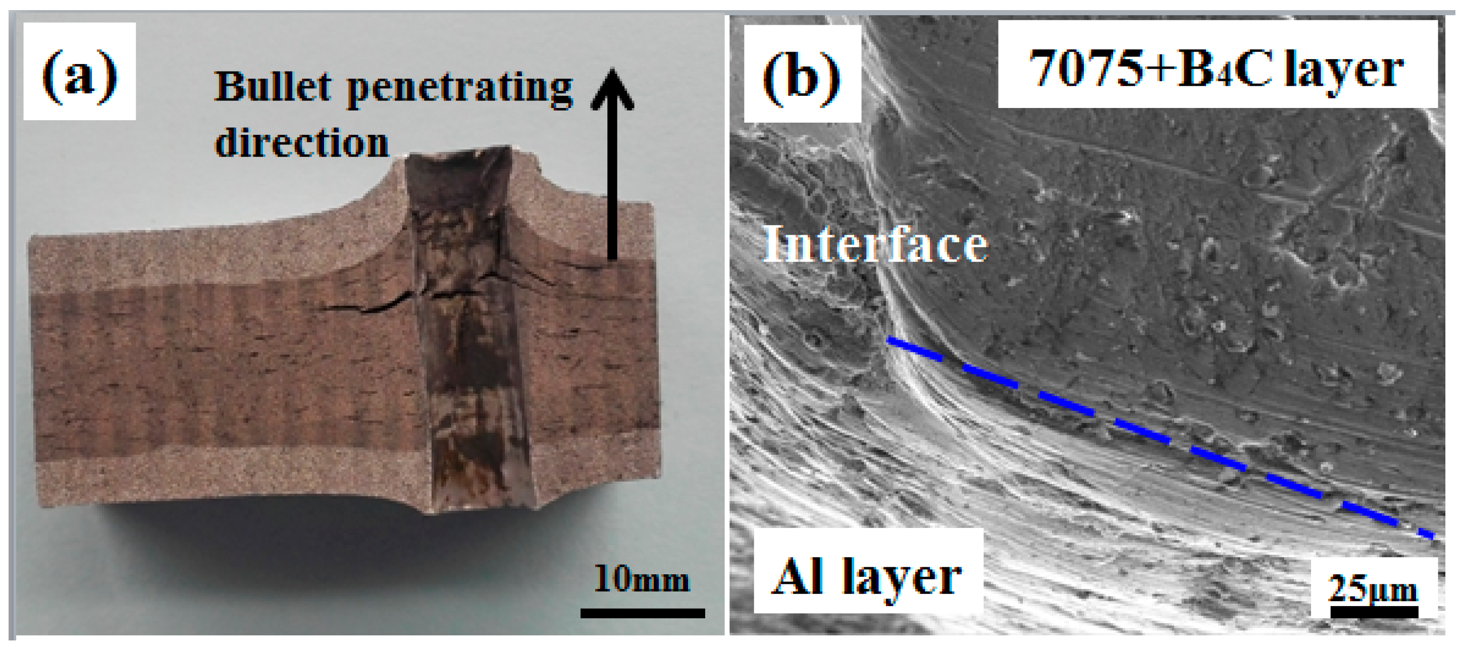Metals 08 00600 g007
