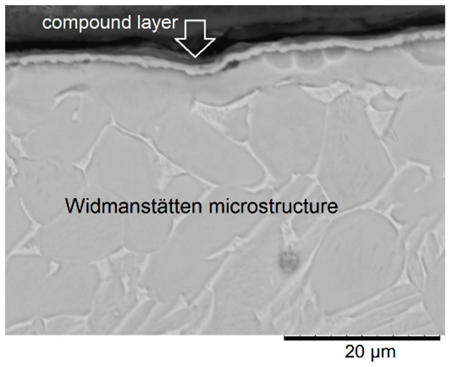 Metals 08 00618 g005
