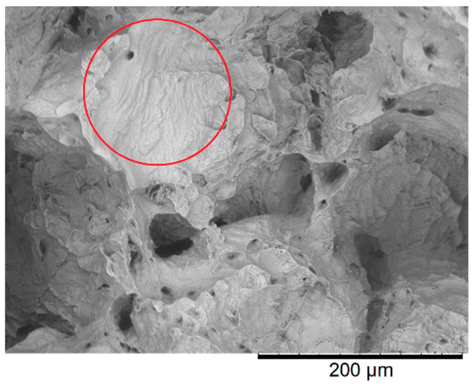 Metals 08 00618 g014