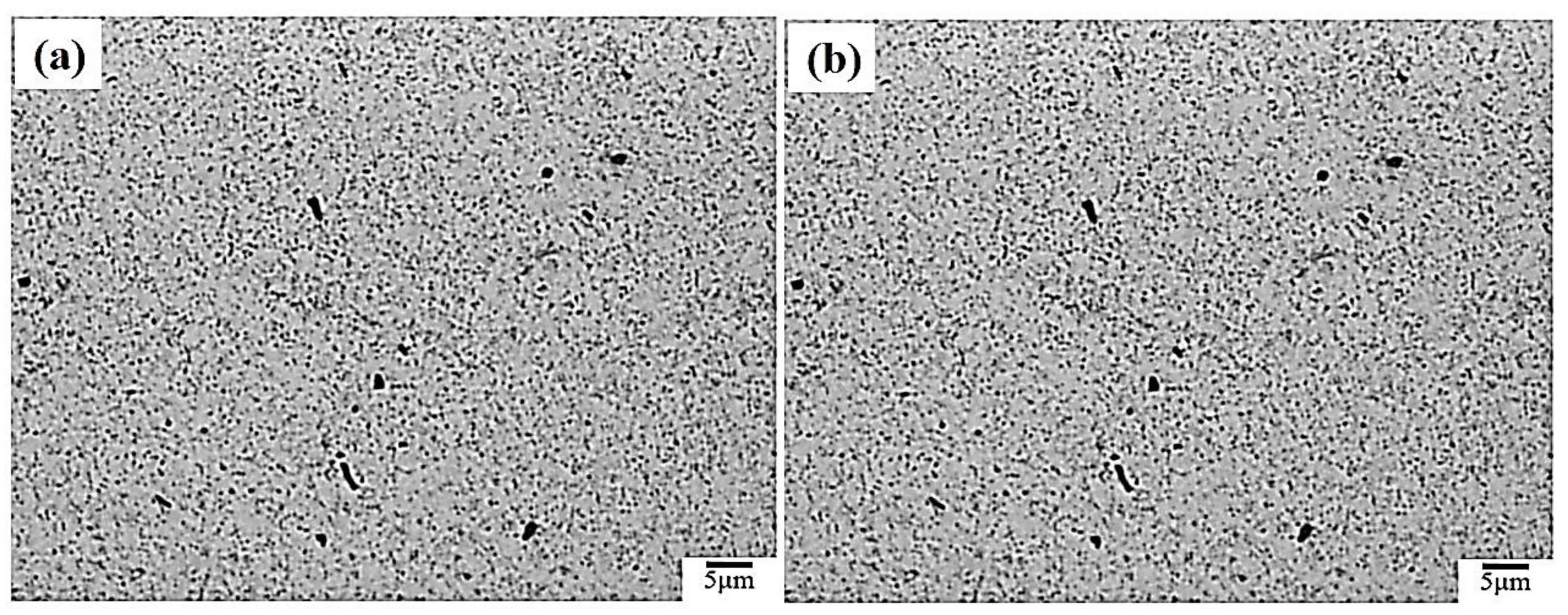 Metals 08 00648 g007a