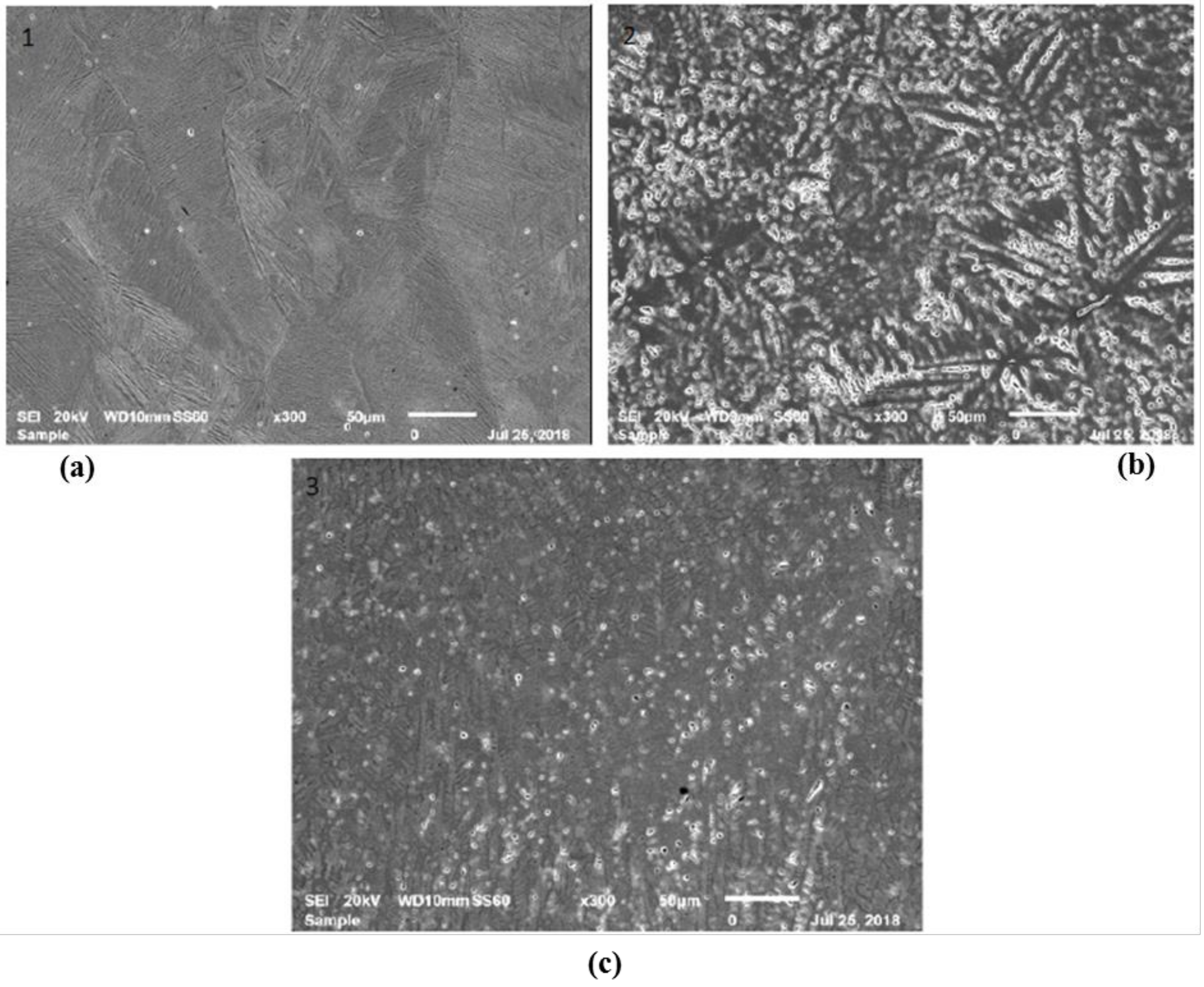 Metals 08 00655 g003