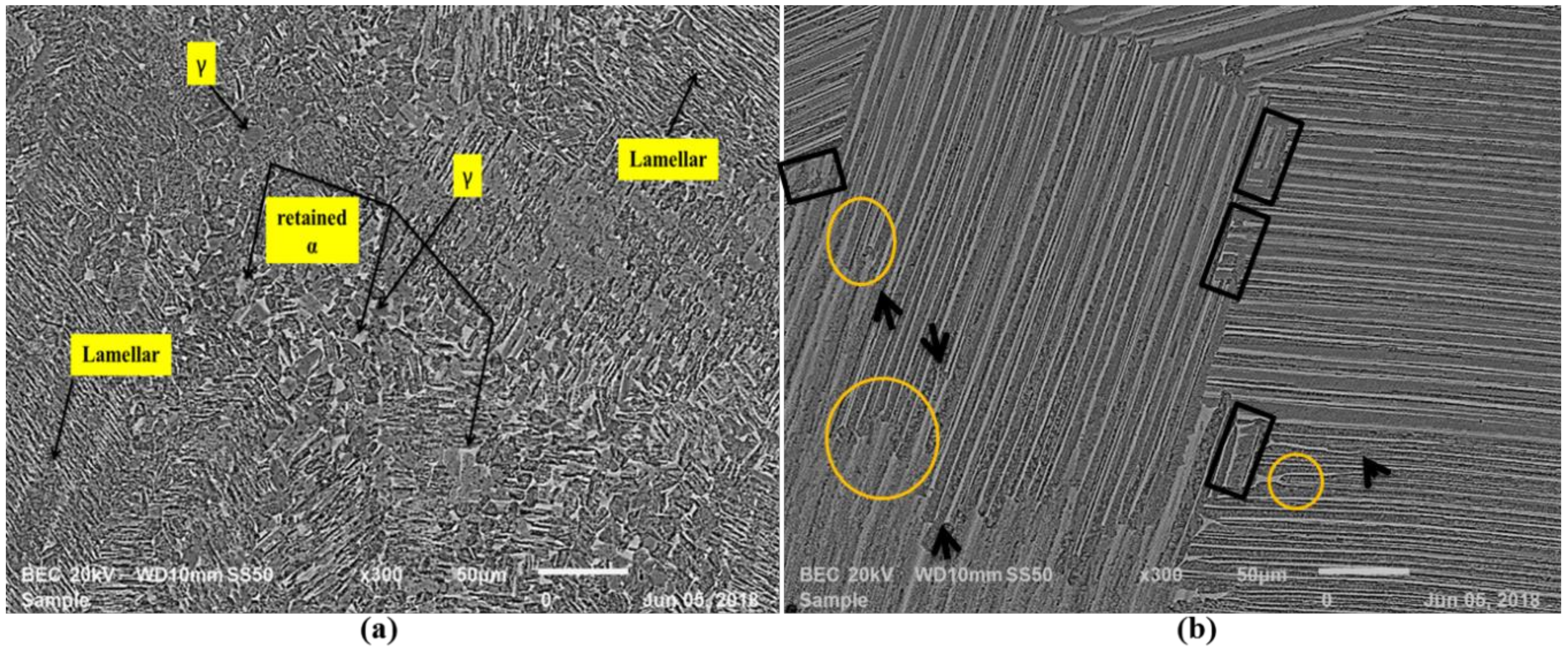 Metals 08 00655 g005