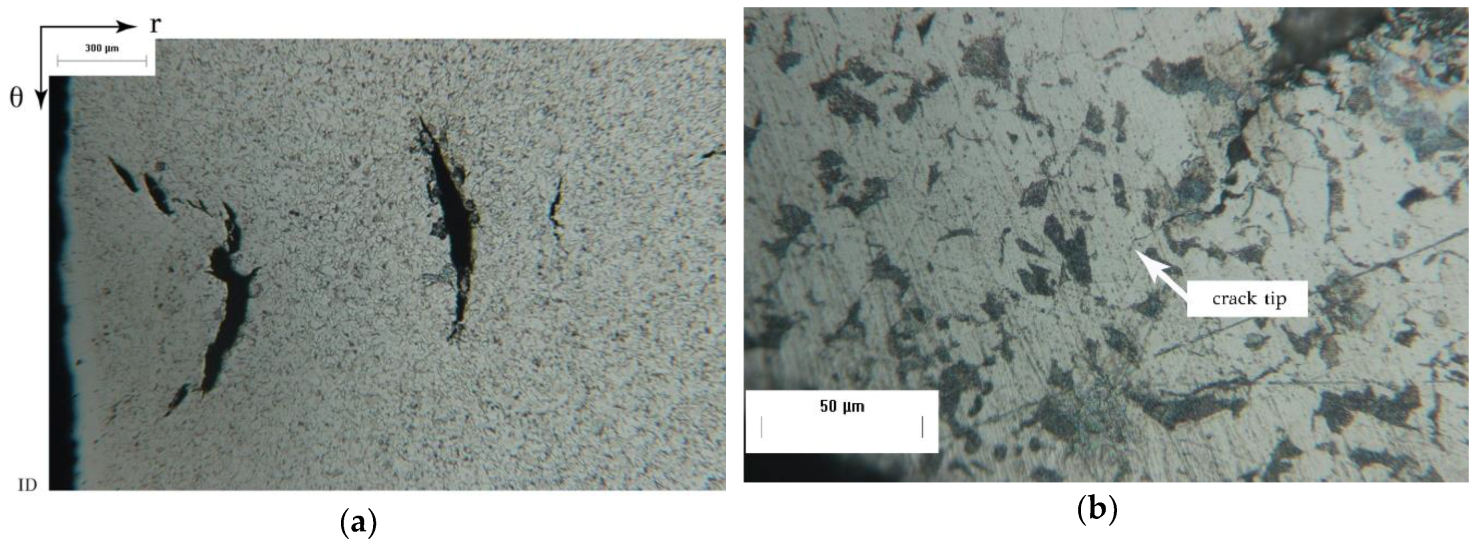 Metals 08 00663 g008