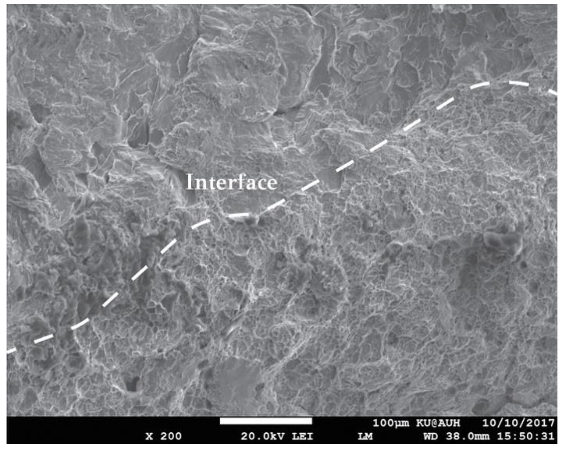 Metals 08 00663 g011