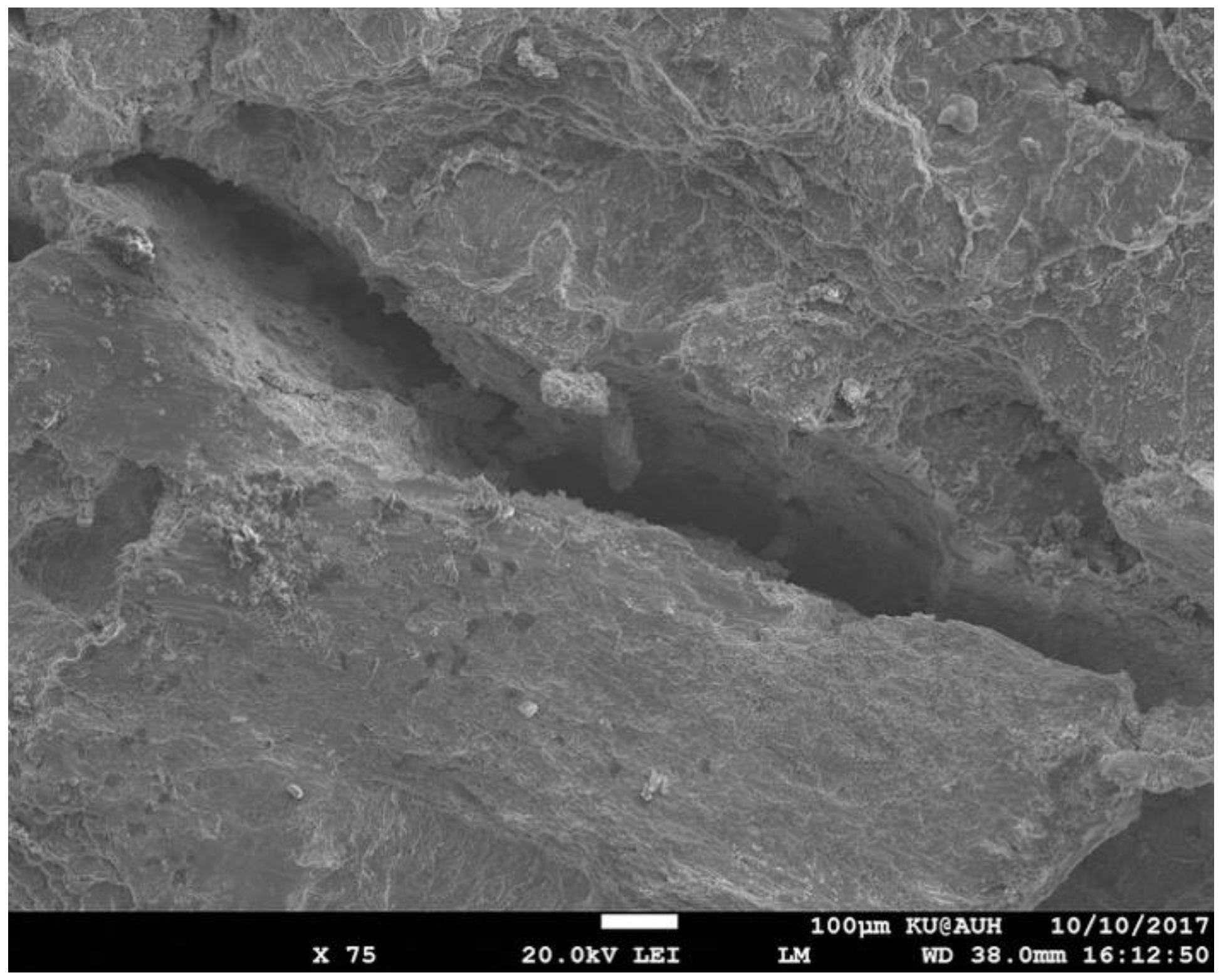 Metals 08 00663 g015