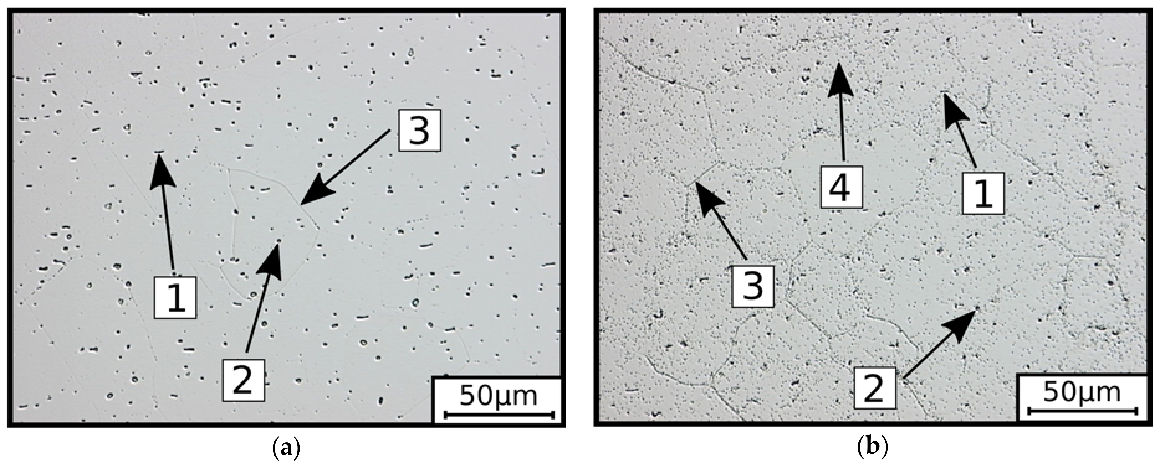 Metals 08 00664 g004