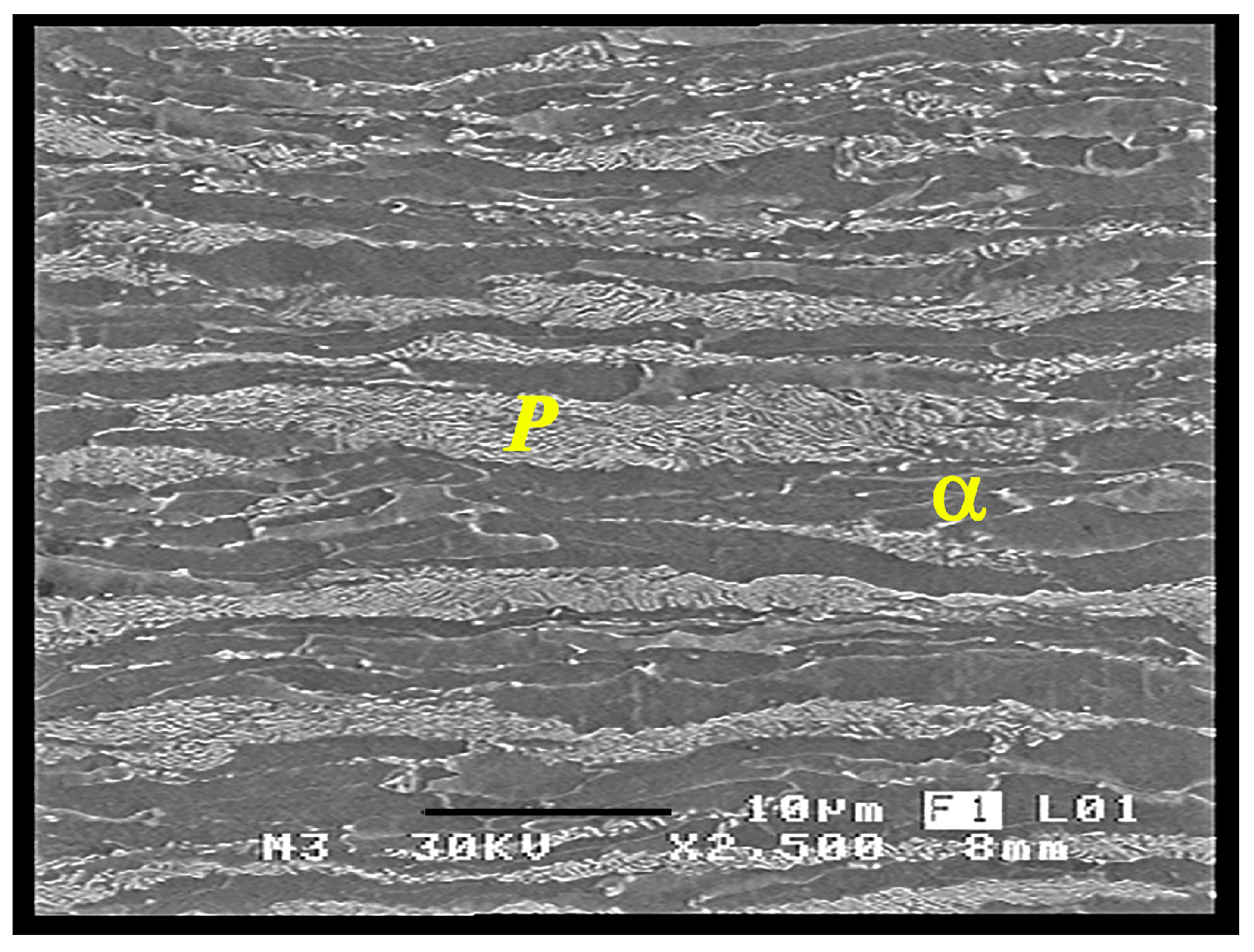 Metals 08 00674 g001