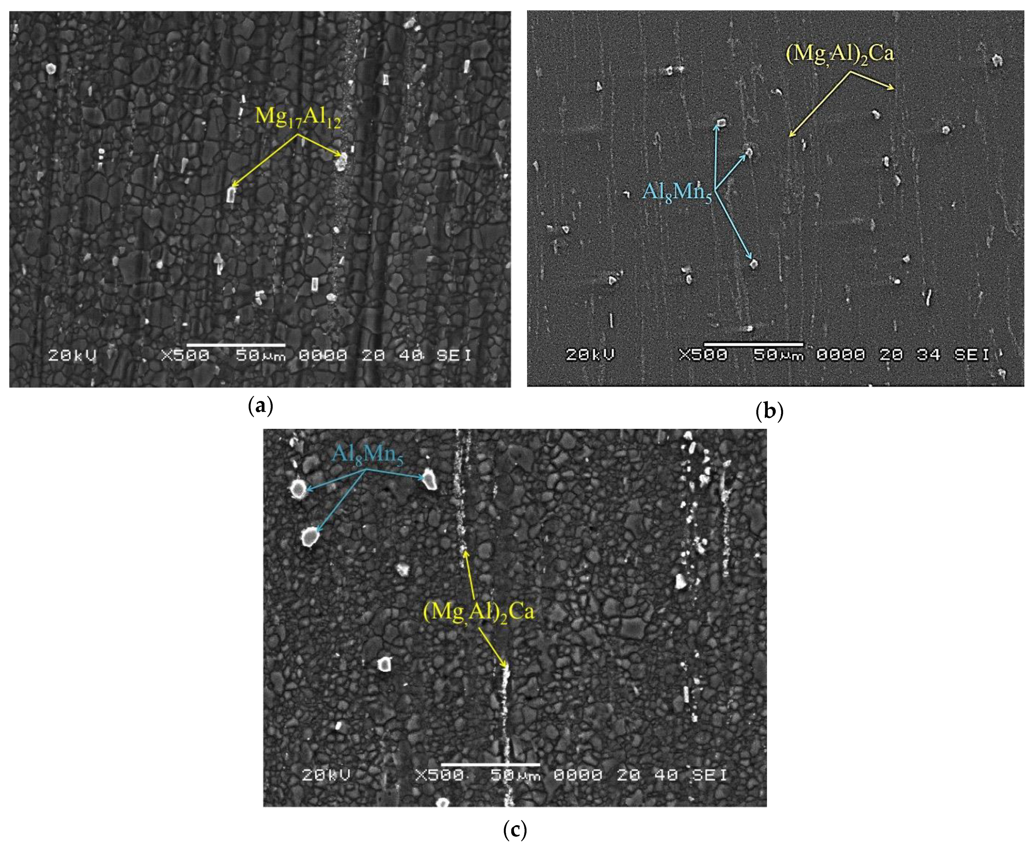 Metals 08 00699 g002