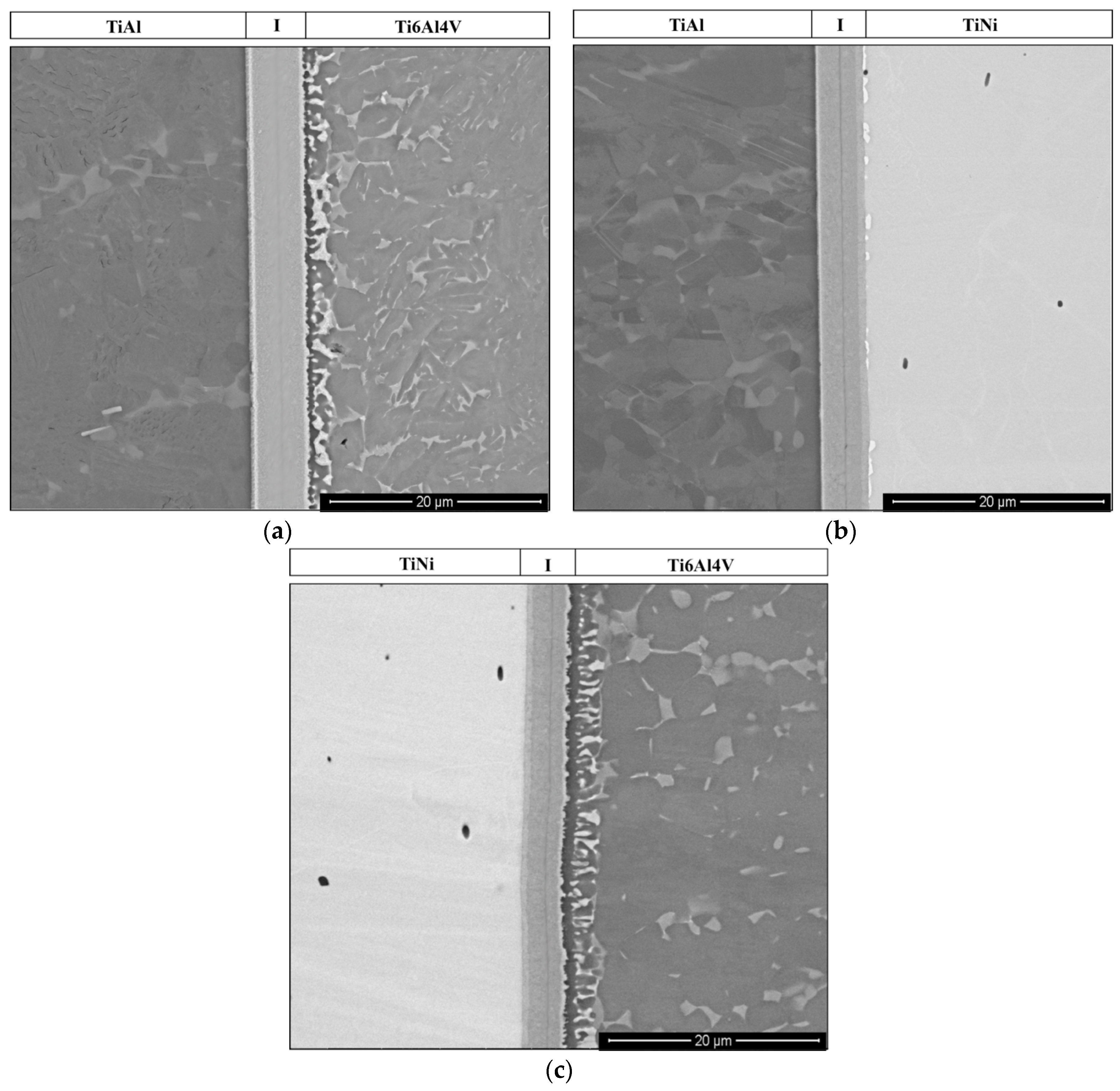 Metals 08 00715 g002