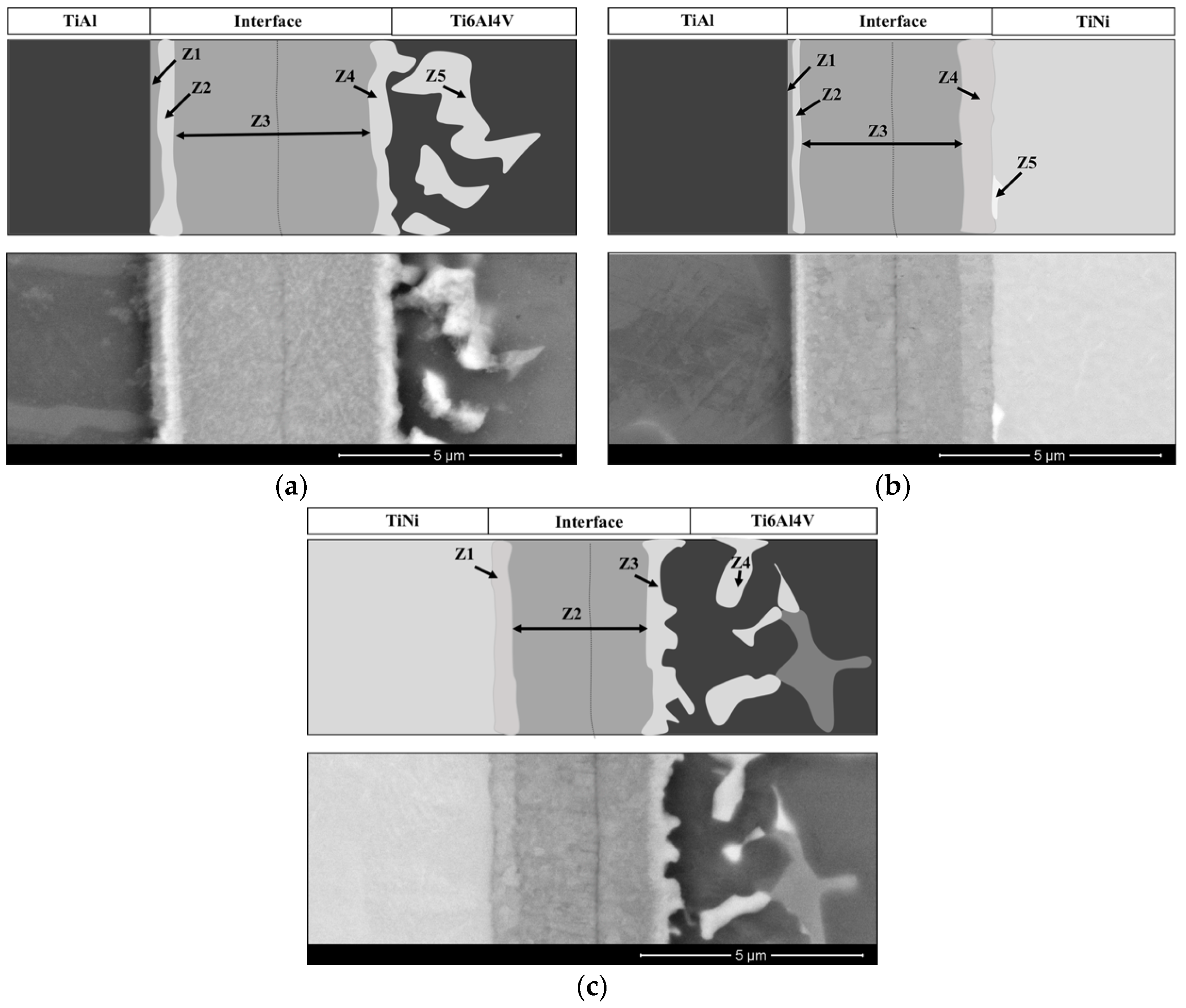 Metals 08 00715 g003