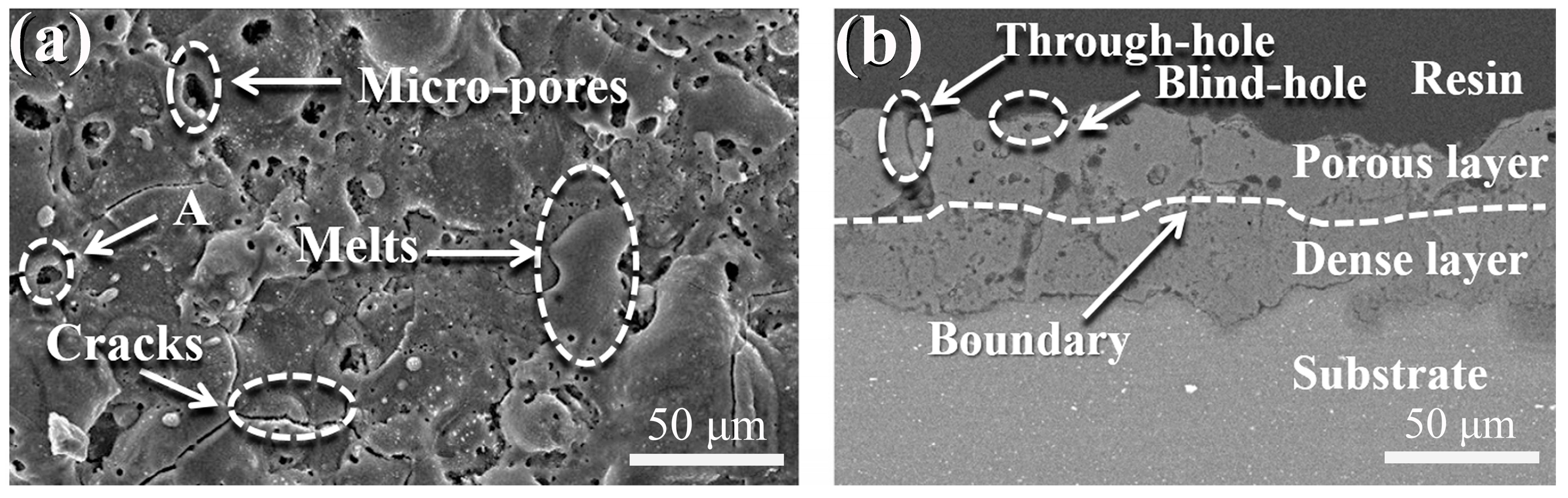 Metals 08 00724 g001