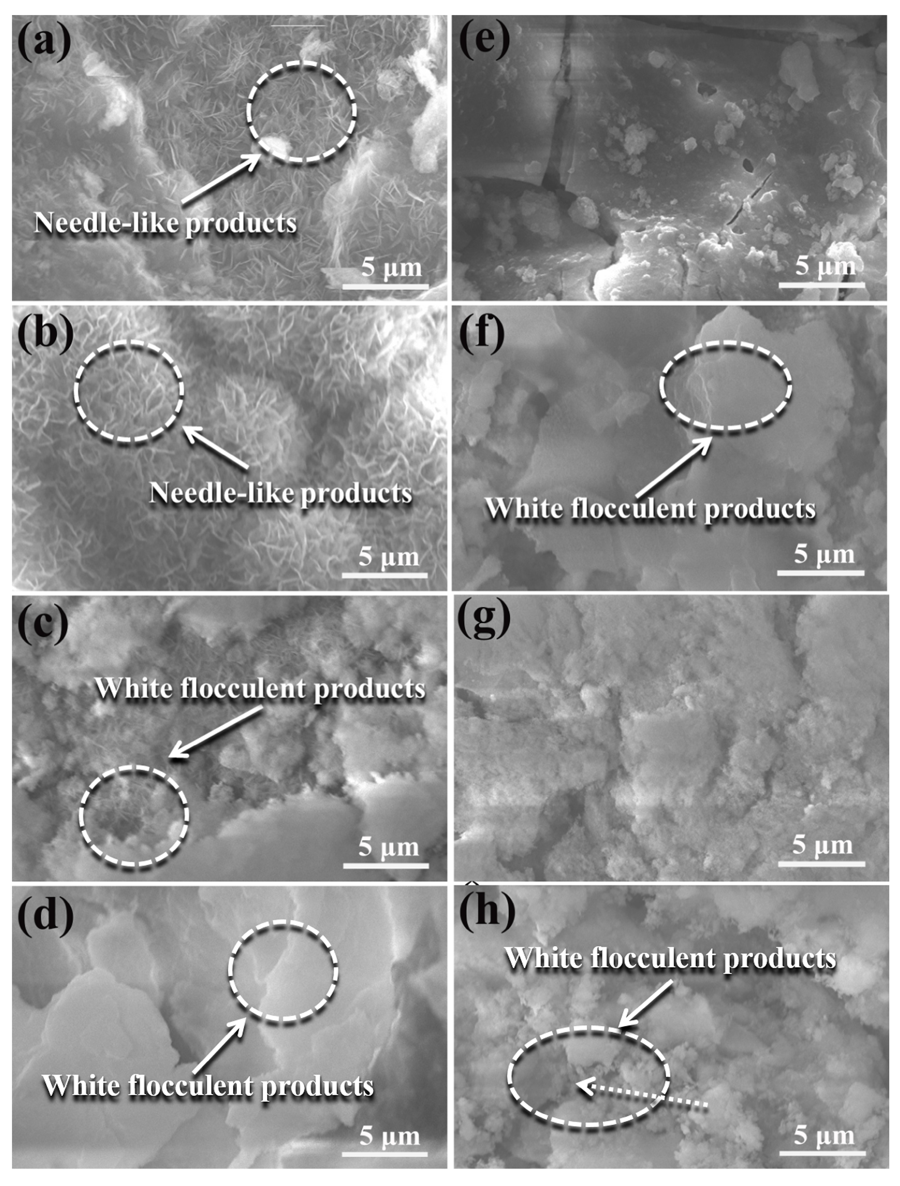 Metals 08 00724 g006