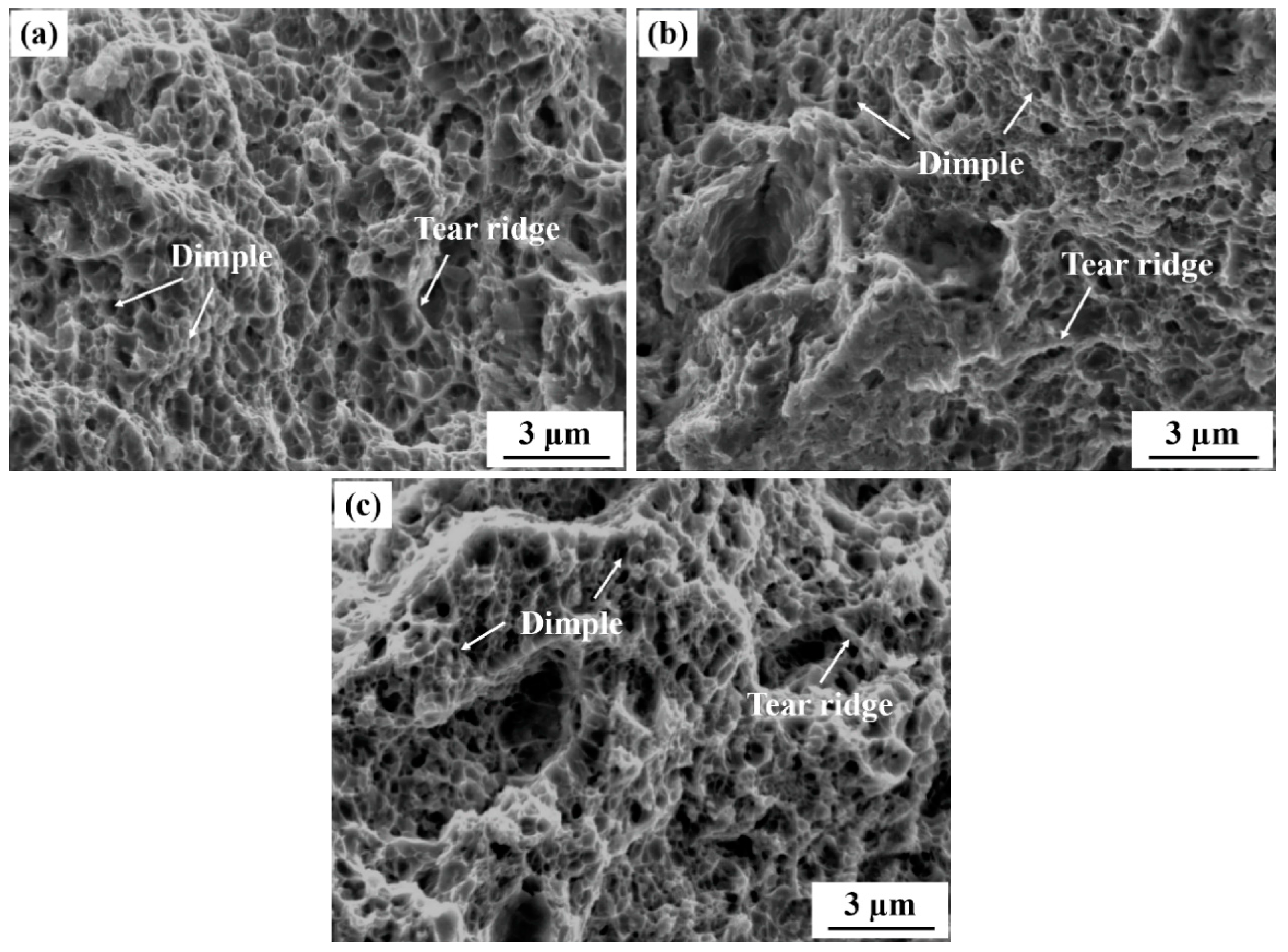 Metals 08 00728 g011