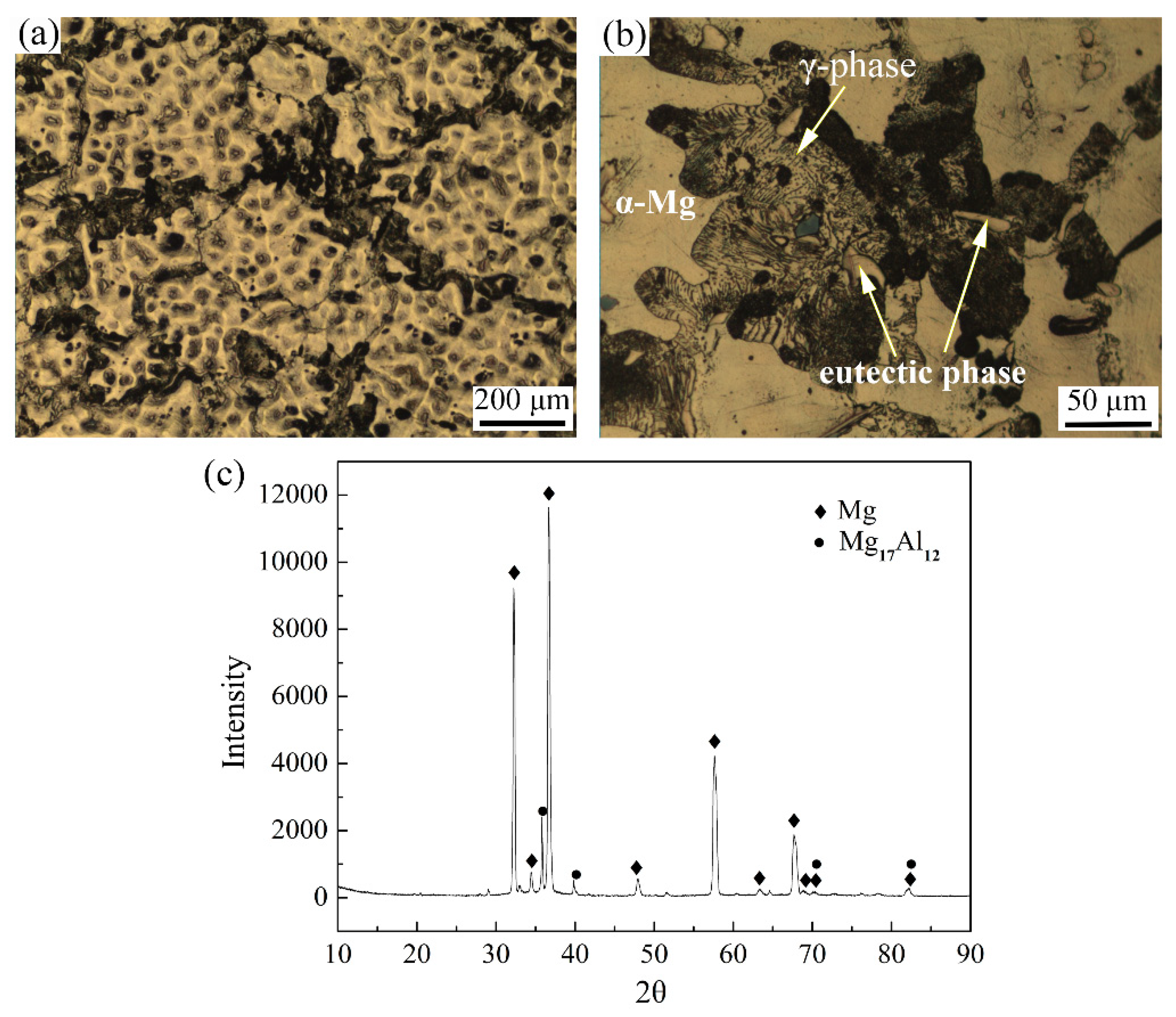 Metals 08 00763 g001 Metals 08 00763 g001