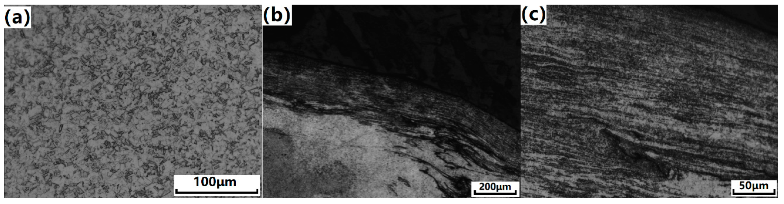 Metals 08 00765 g003