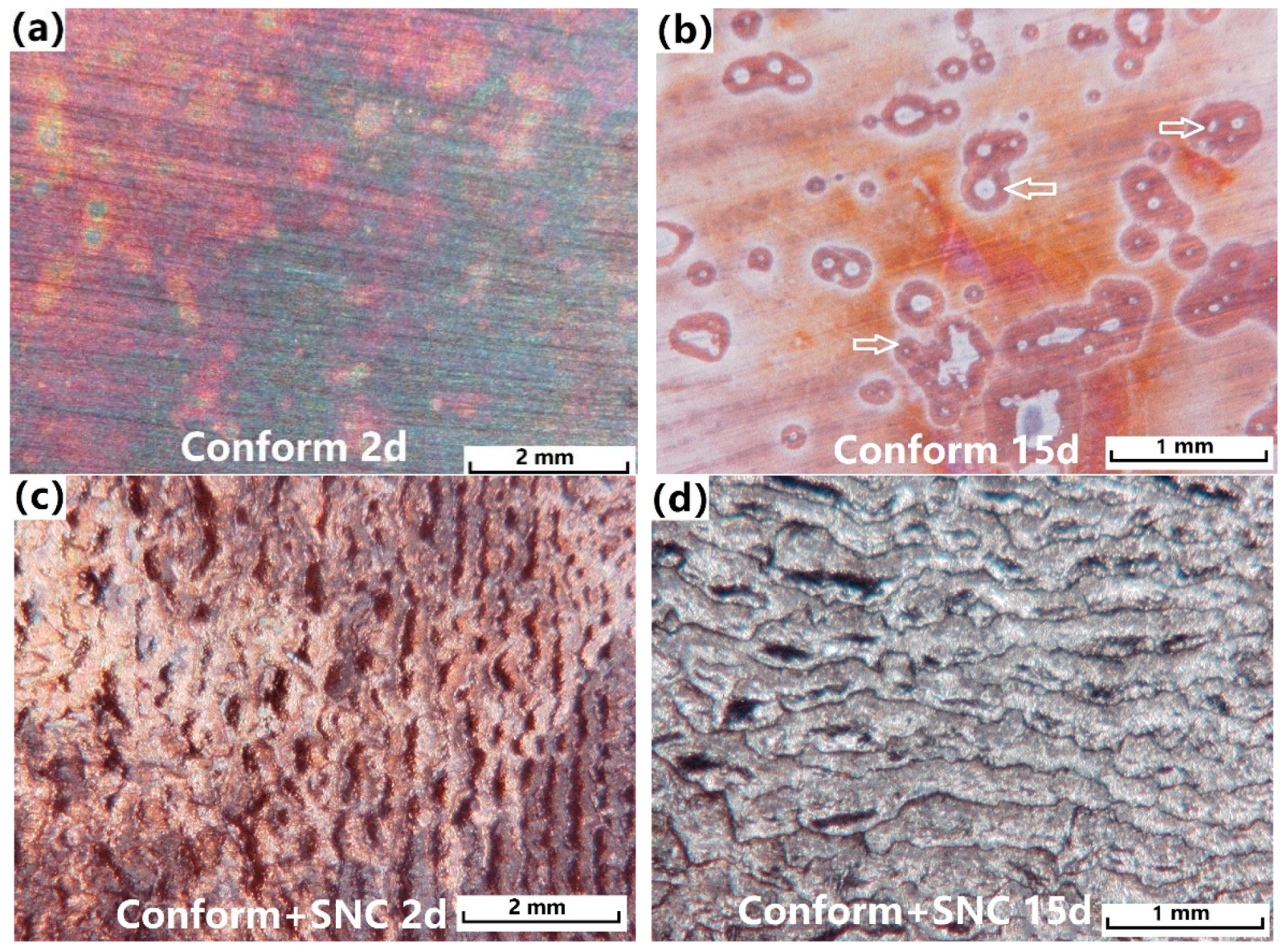 Metals 08 00765 g007