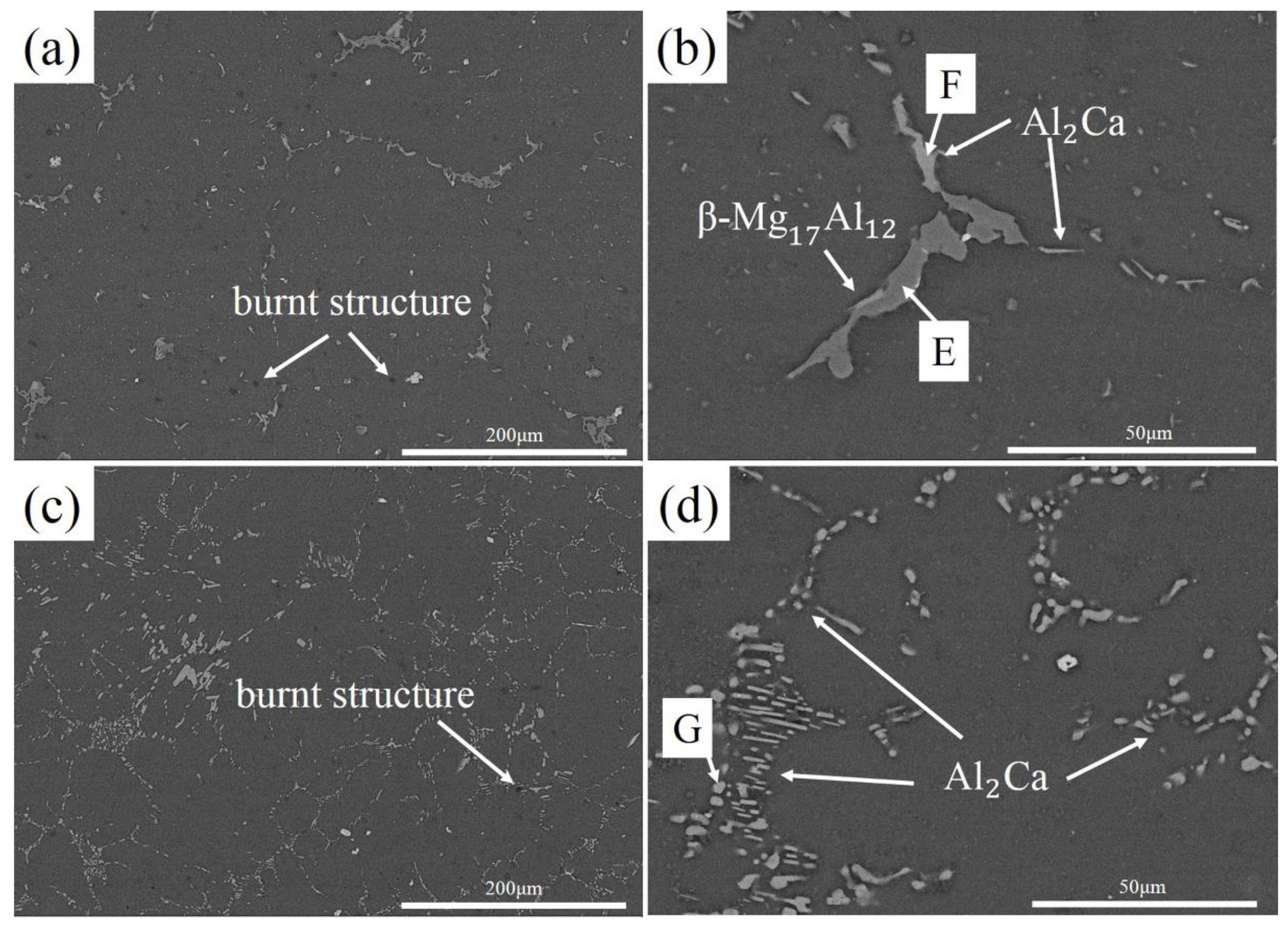Metals 08 00766 g005