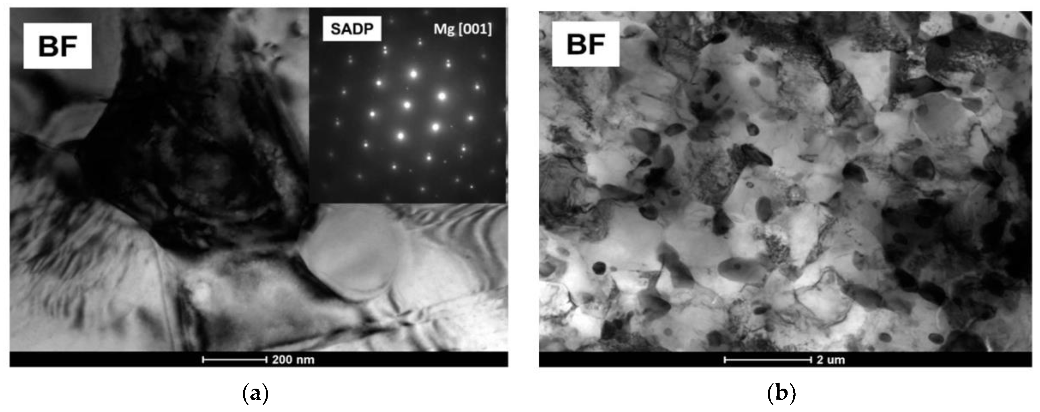 Metals 08 00776 g009