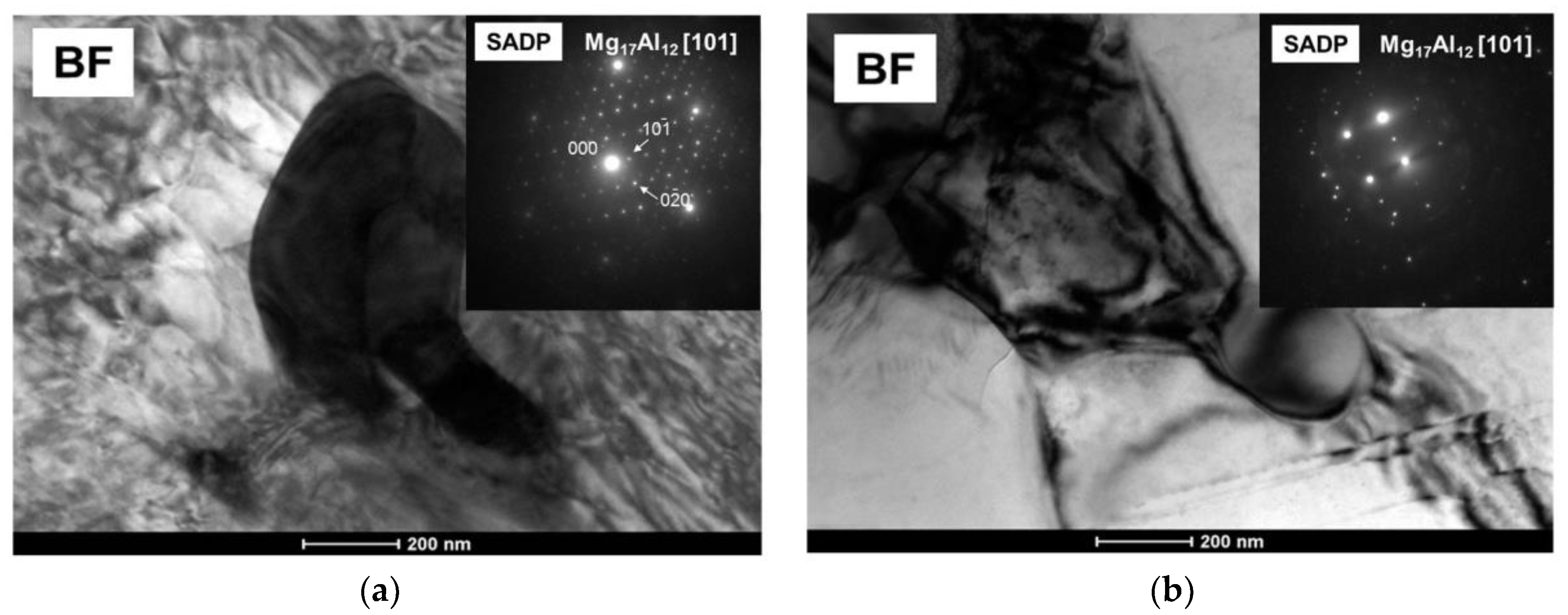 Metals 08 00776 g013