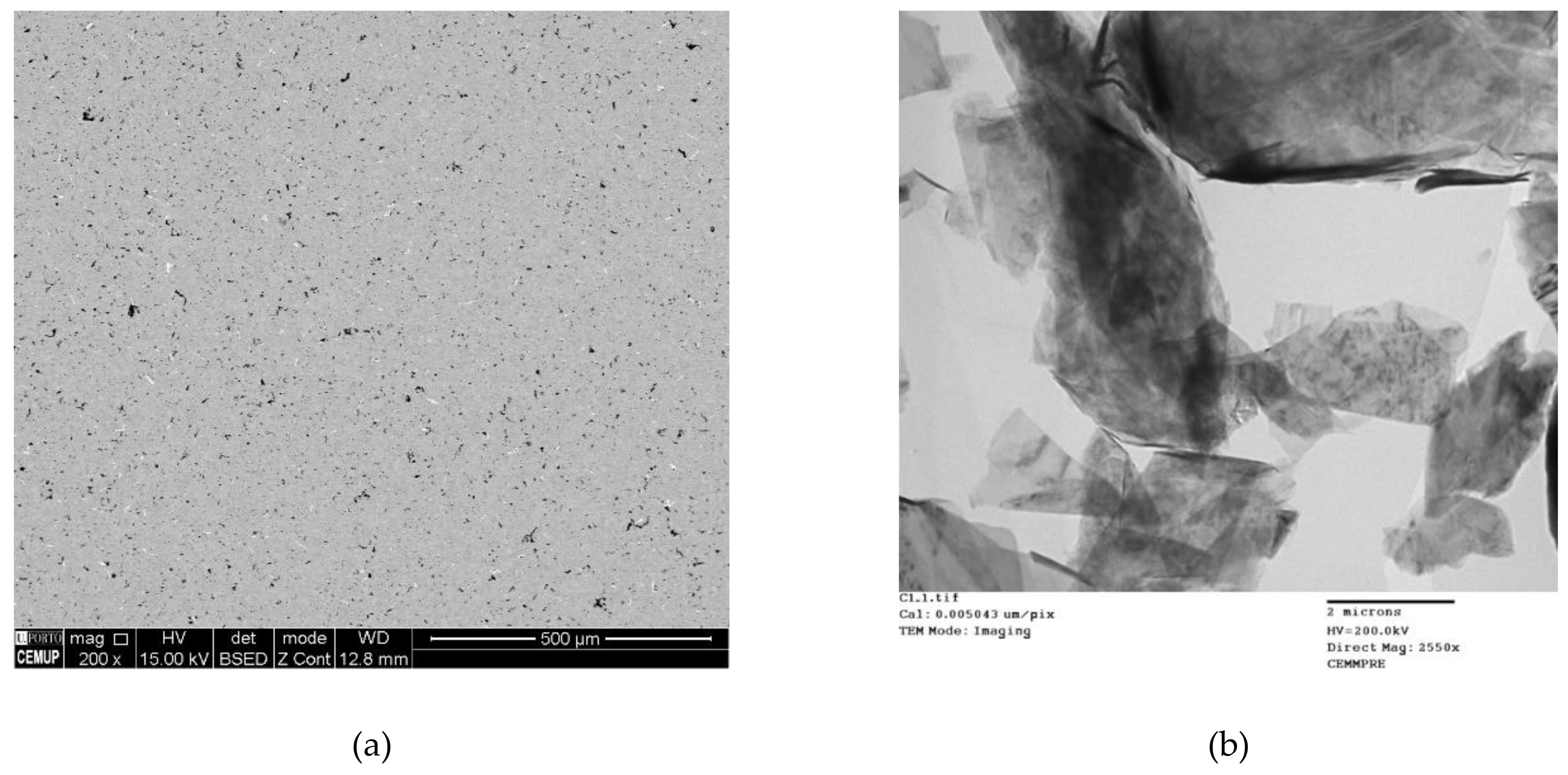 Metals 08 00786 g006