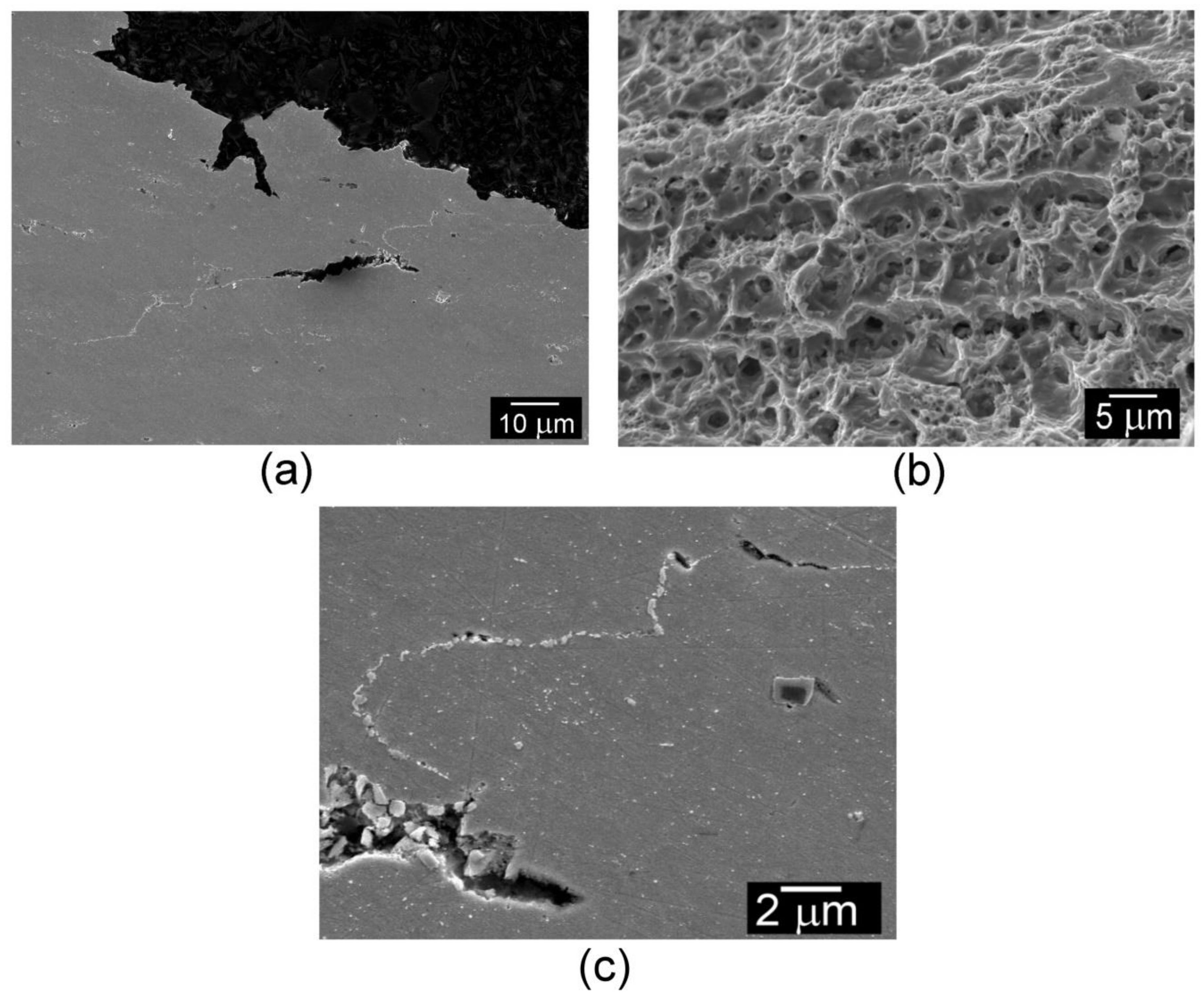 Metals 08 00791 g013