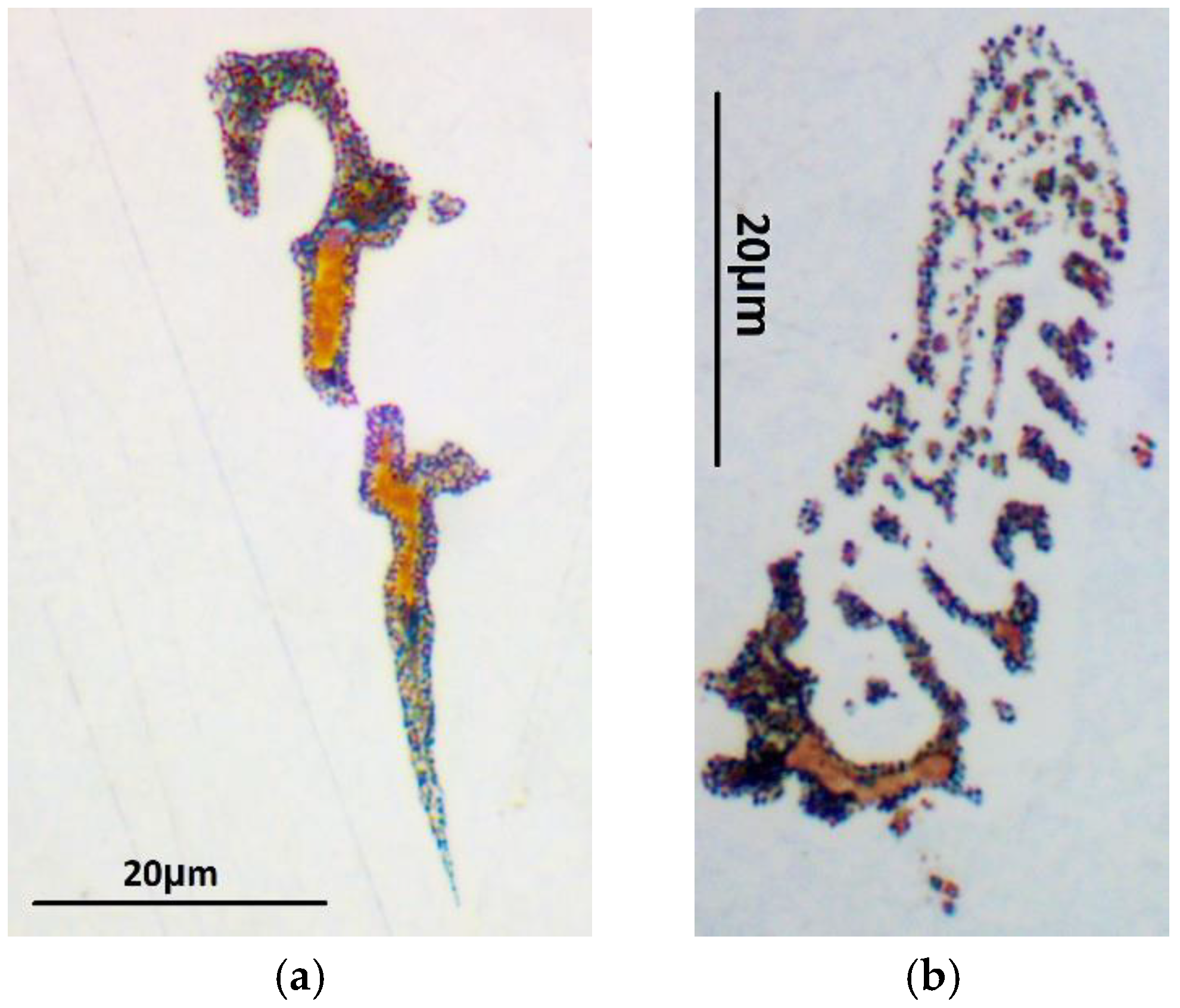 Metals 08 00800 g007