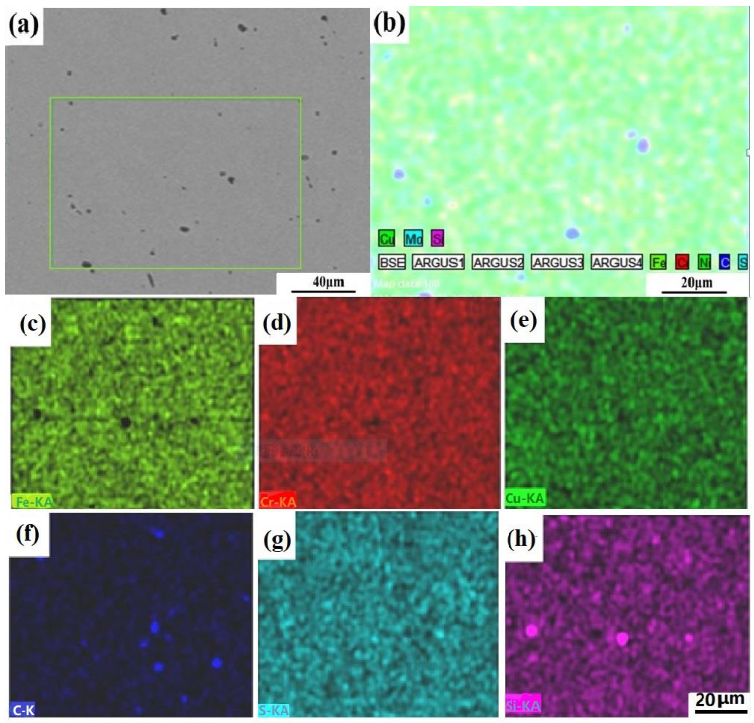 Metals 08 00816 g005