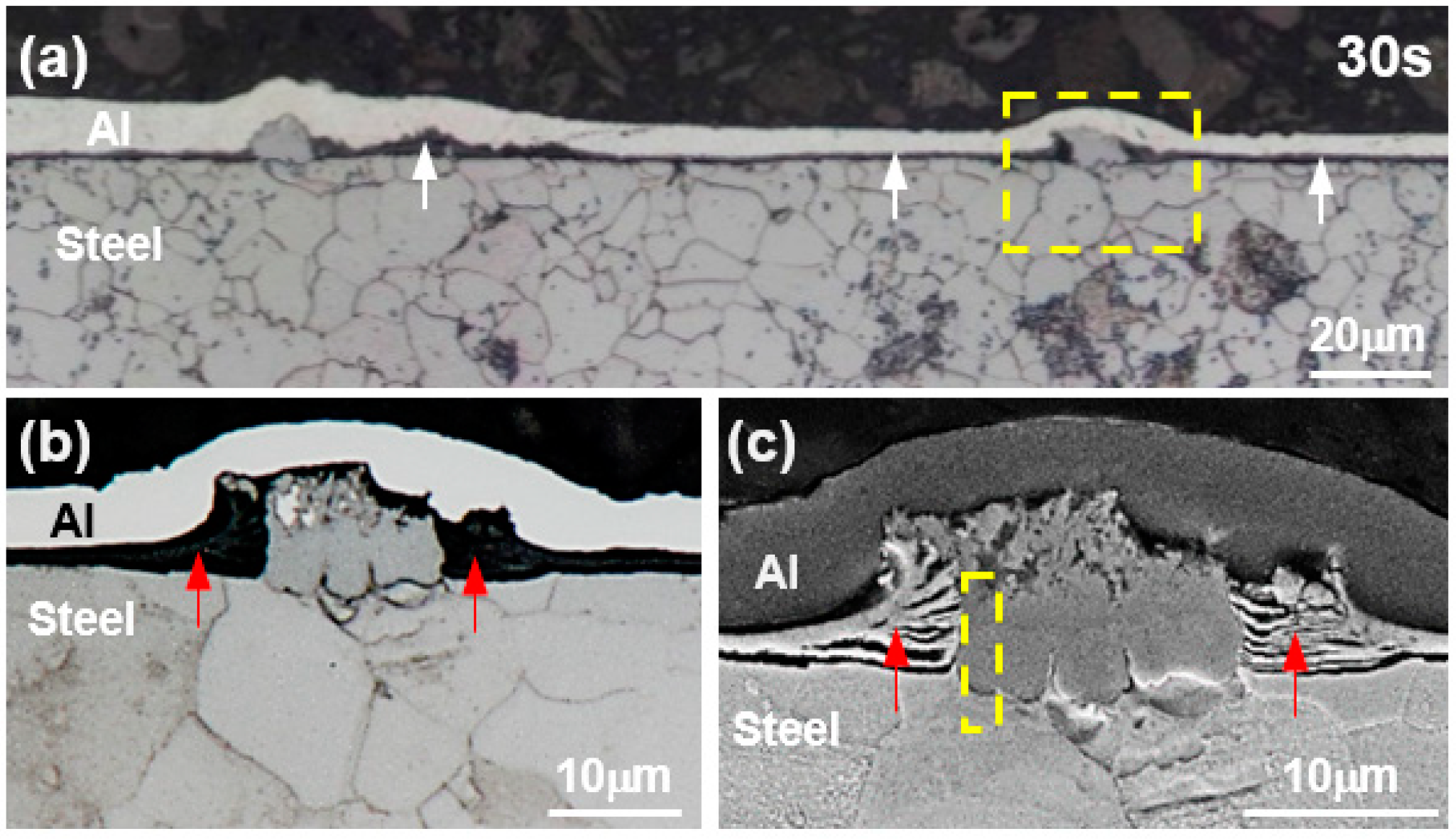 Metals 08 00820 g001